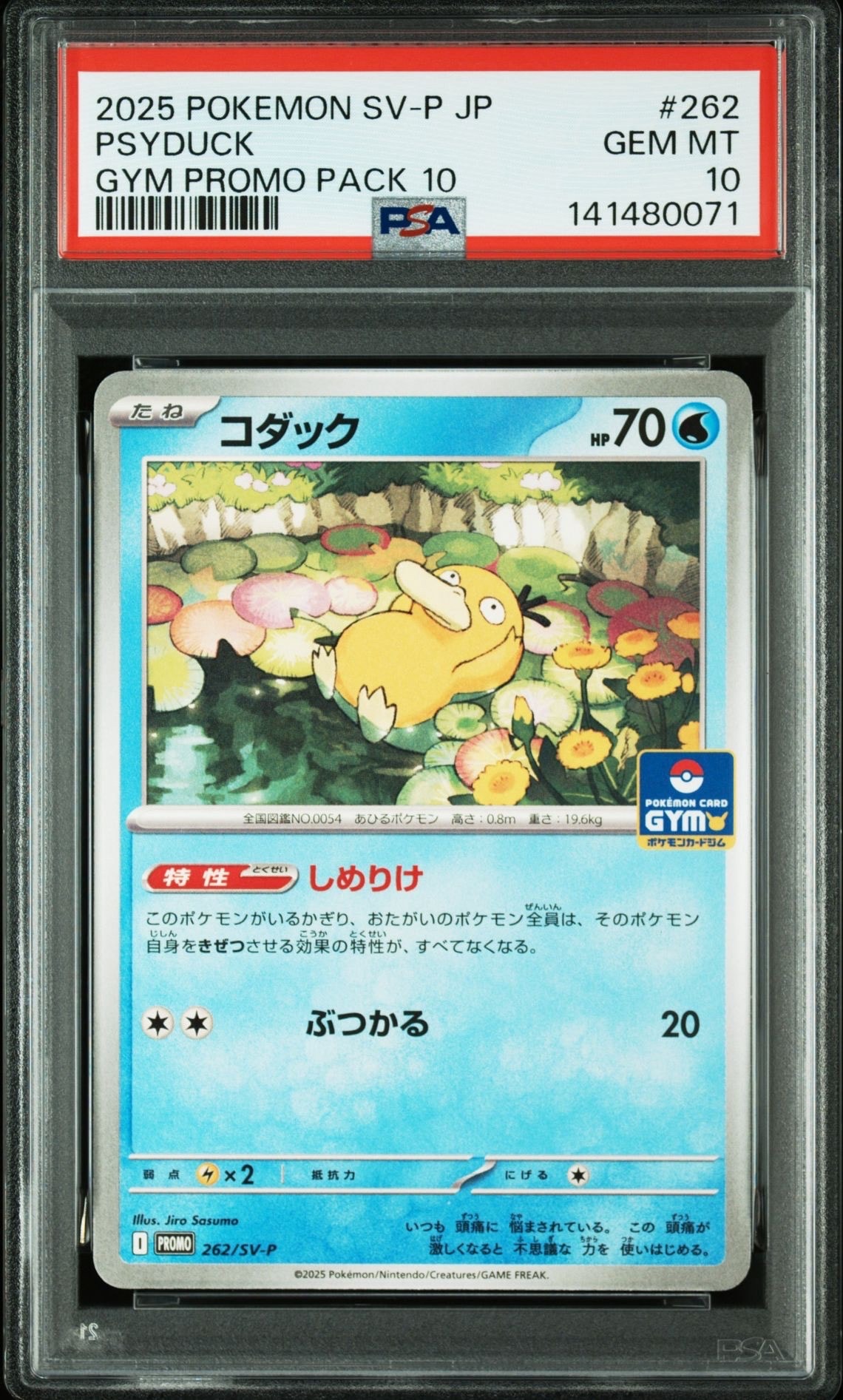 コダック P [SV-P 262](プロモカードパック「第10弾」)