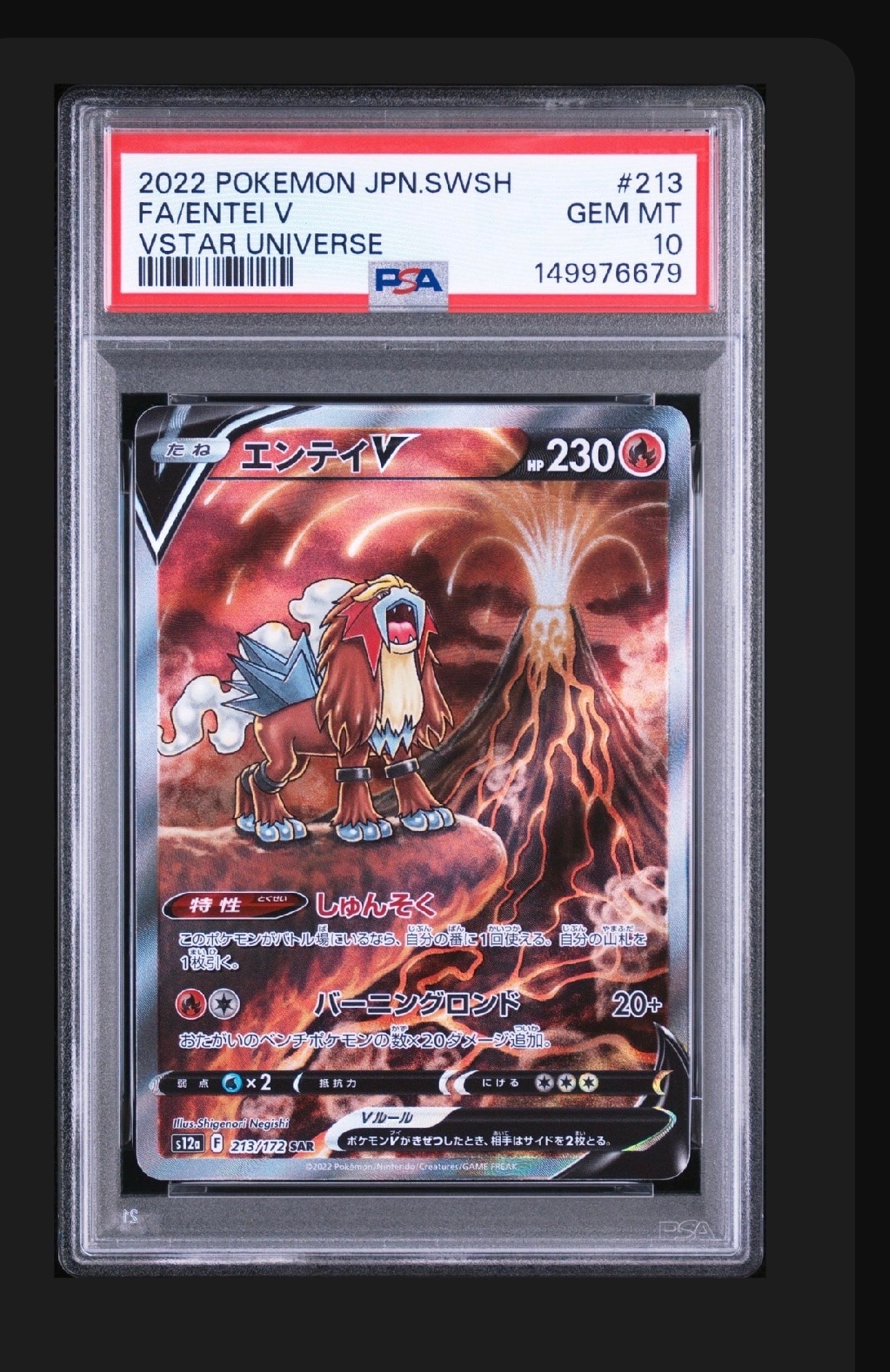 エンテイV SAR[s12a 213/172](ハイクラスパック「VSTARユニバース