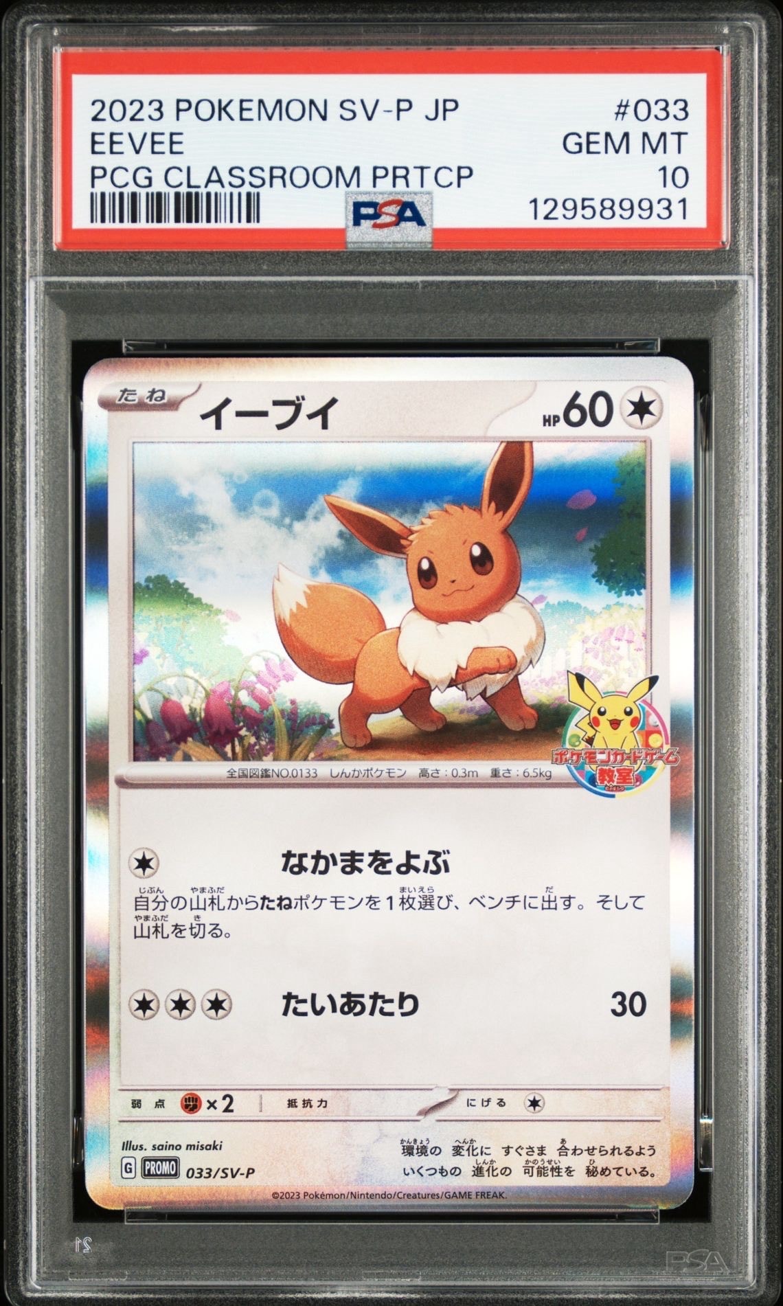 イーブイ: プロモ [SV-P 033](「 ポケモンカードゲーム教室」プロモーションカード「SV-P」)