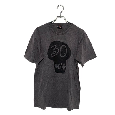 STUSSY 30YEARS ANNIVERSARY SKULL TEE Gray