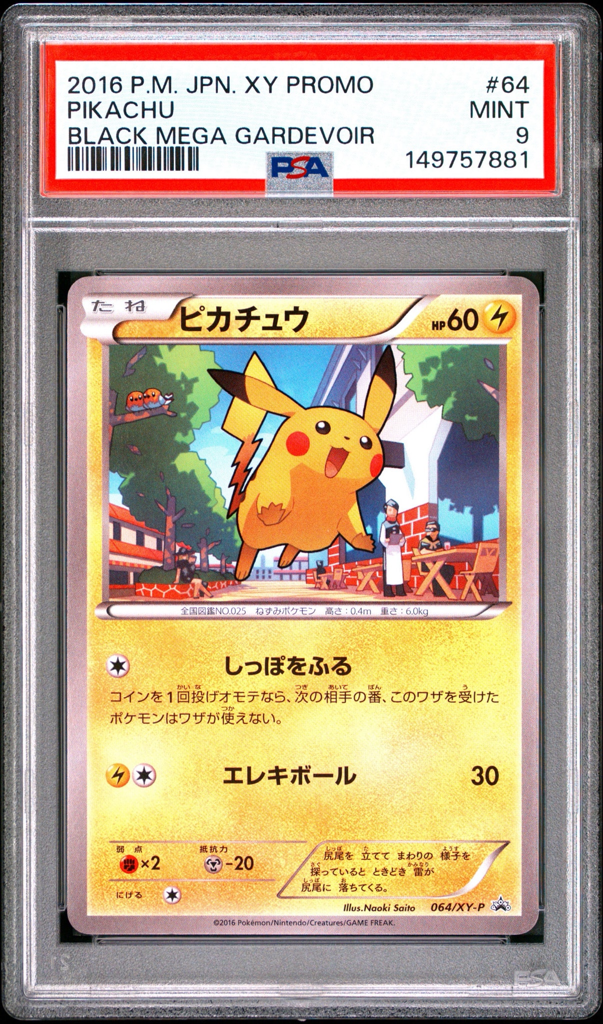 ピカチュウ P [XY-P 064](プロモーションカード「熱戦にそなえろ! 黒いメガサーナイトキャンペーン」)
