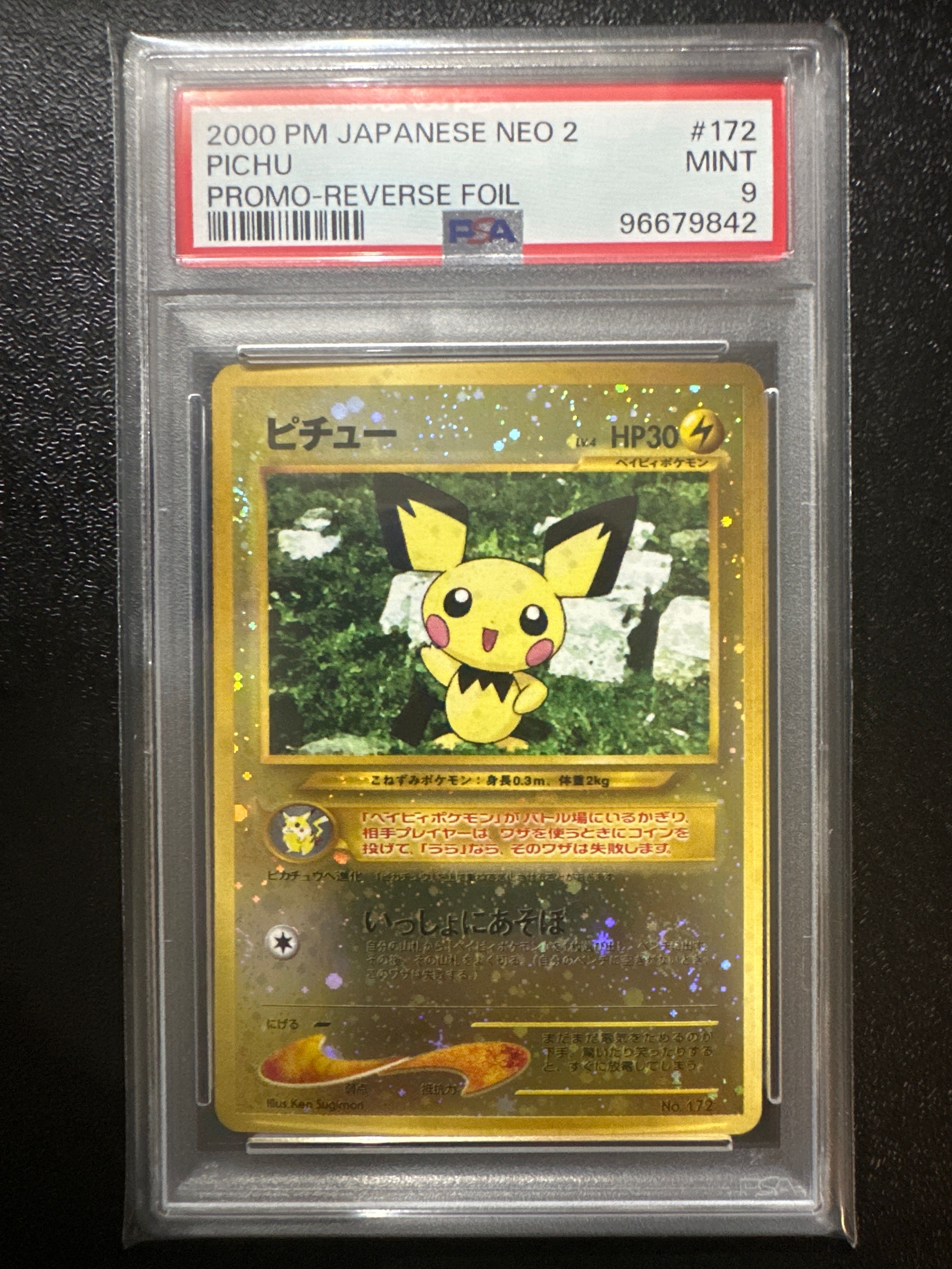 ピチュープレミアムファイル2: 旧裏[neoP2 No.172](プレミアムファイル2)