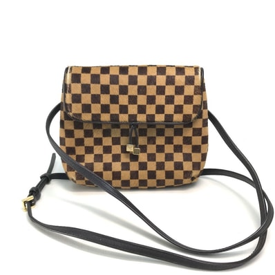 Louis Vuitton Damier Sauvage Gazelle