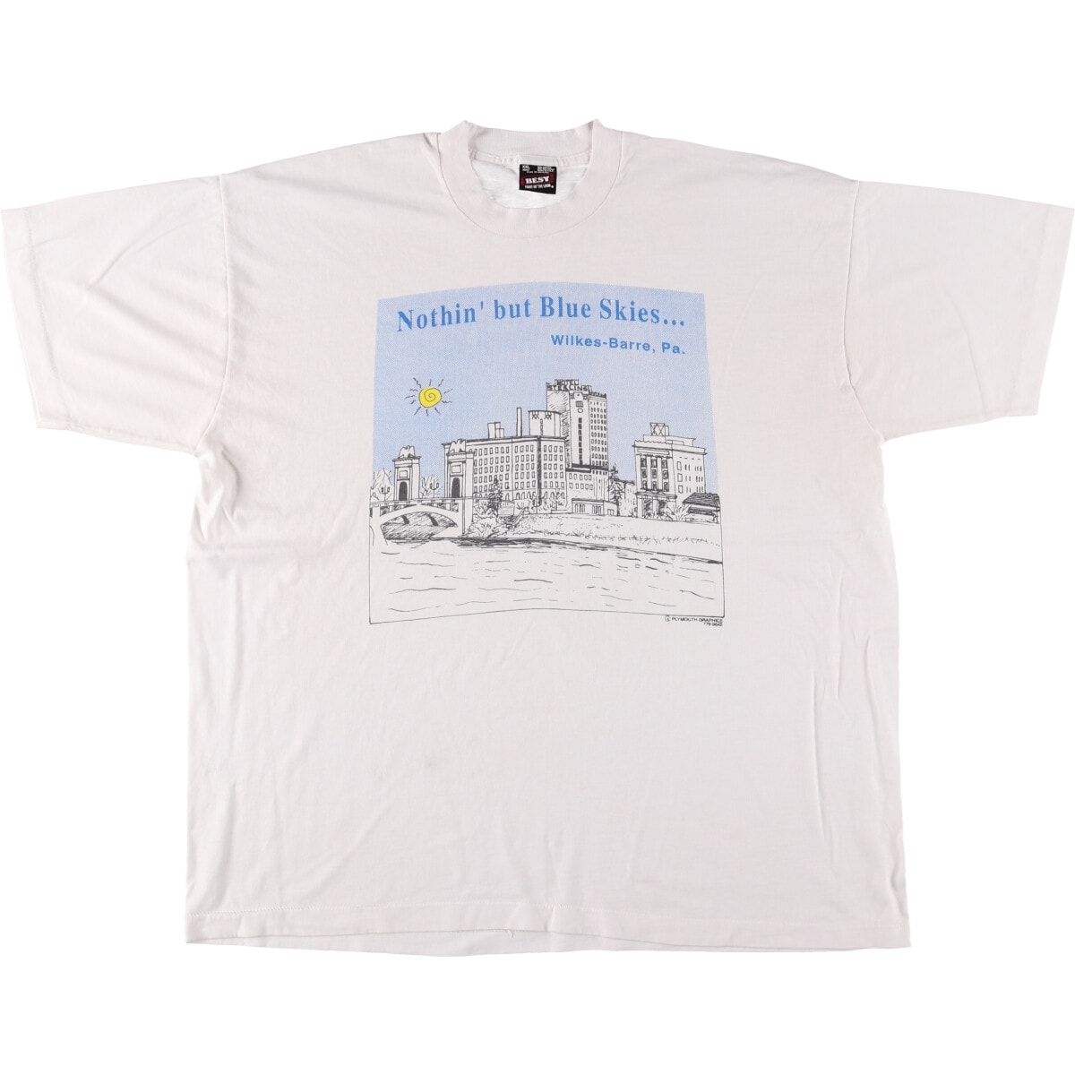 古着 90年代 フルーツオブザルーム FRUIT OF THE LOOM プリントTシャツ USA製 メンズXXL相当 ヴィンテージ/eaa572521