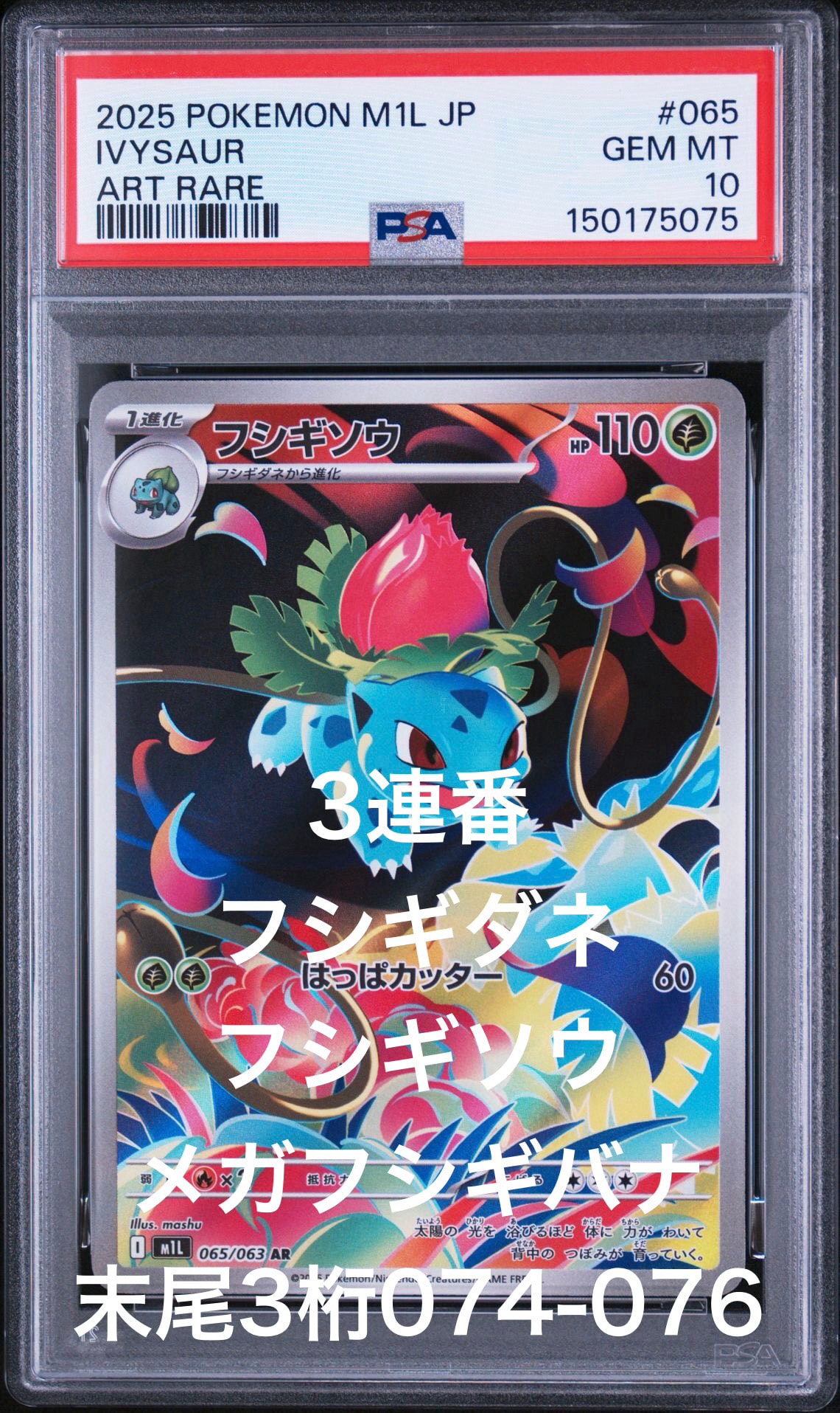 フシギソウ AR [M1L 065/063](拡張パック「メガブレイブ」)通販・買取