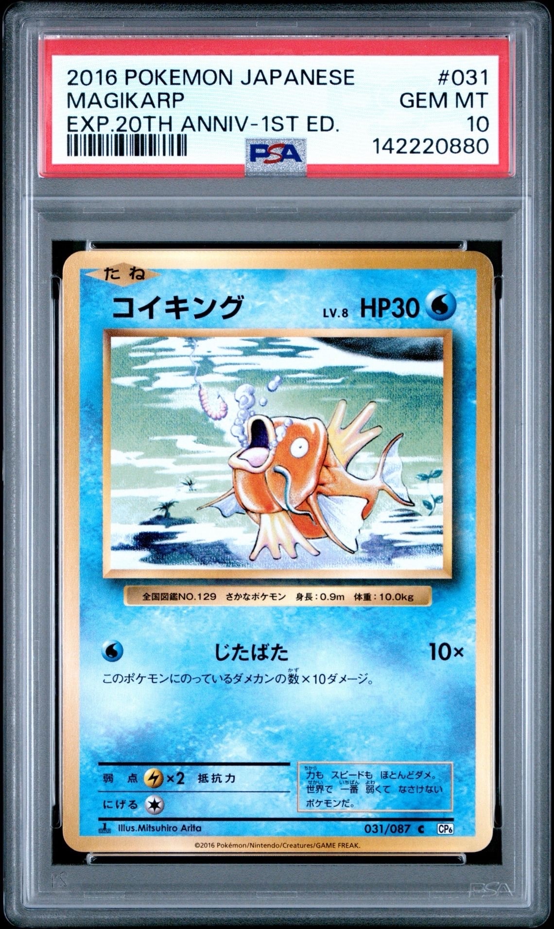 コイキング C :1ED [CP6 031/087](コンセプトパック「ポケットモンスターカードゲーム 拡張パック 20th Anniversary」)