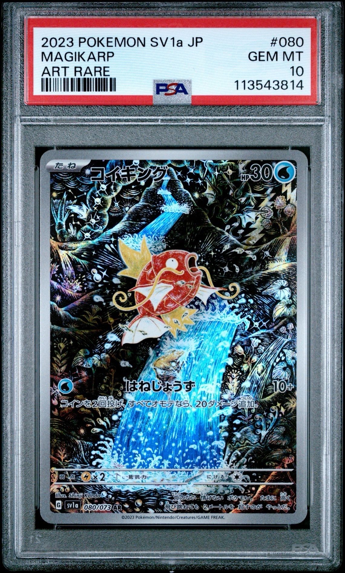 コイキング AR[SV1a 080/073](スカーレット&バイオレット 拡張パック「トリプレットビート」)