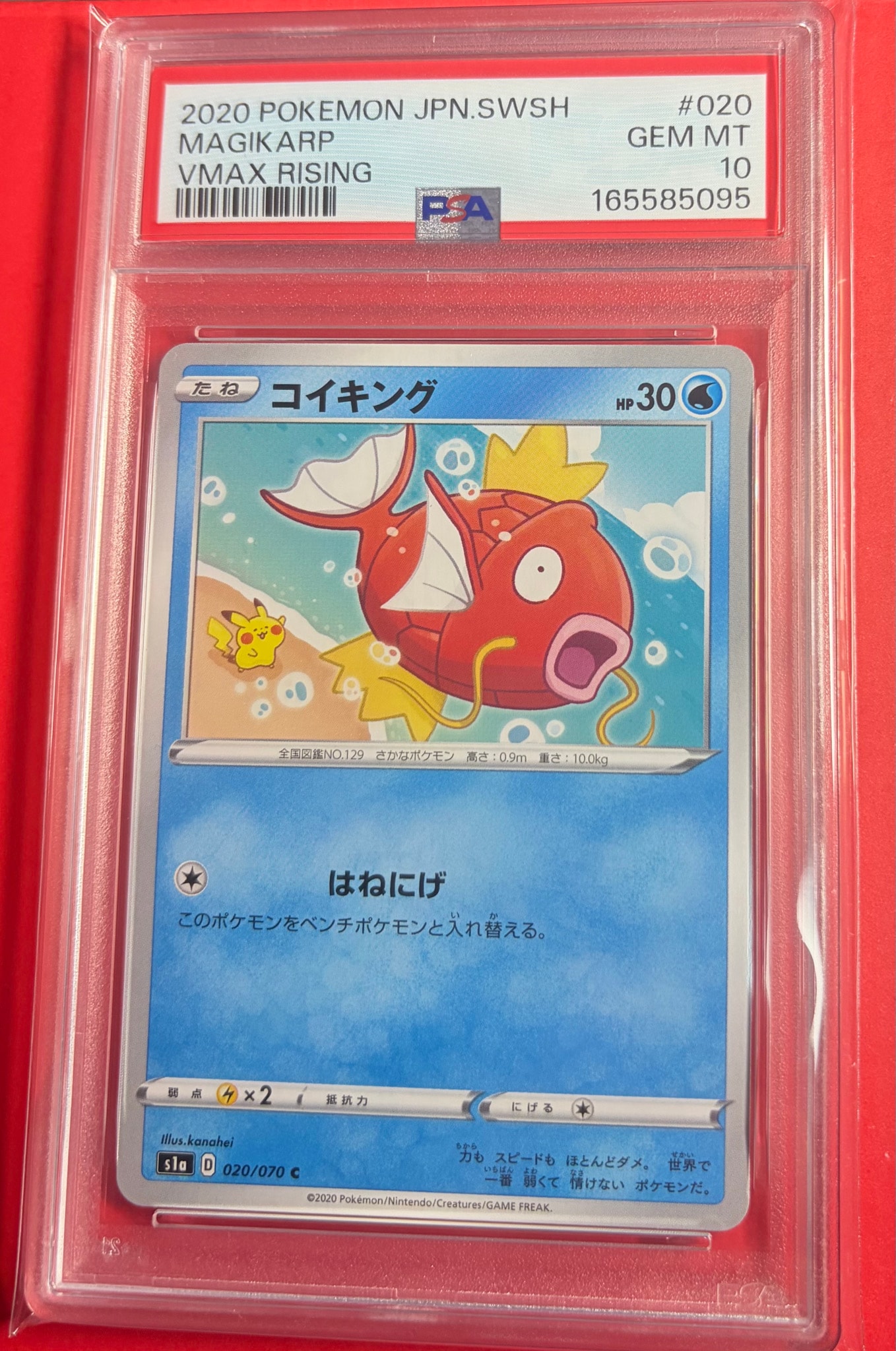 PSA9】コイキング C[S1a 020/070](強化拡張パック「VMAXライジング
