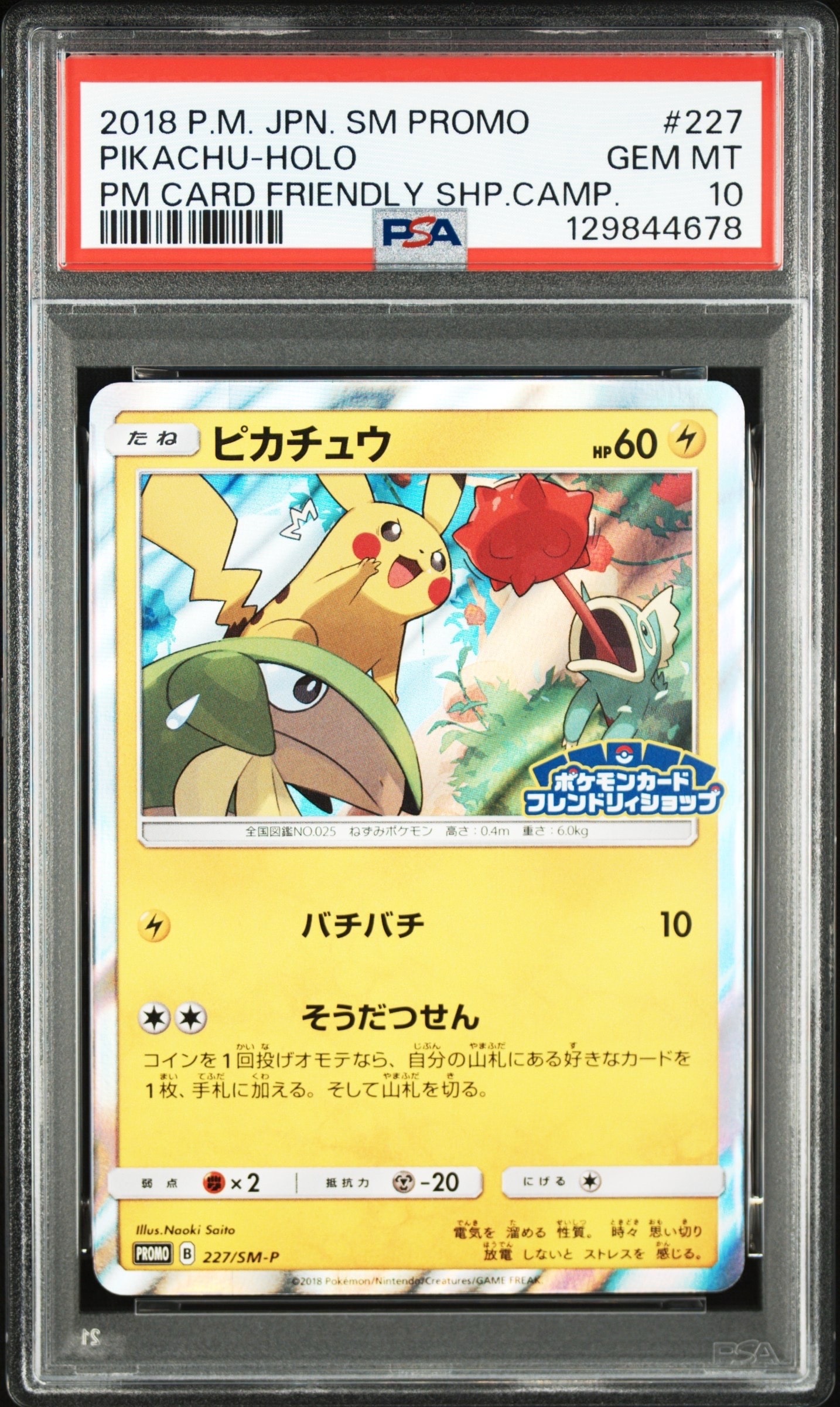 ピカチュウ P [SM-P 227](プロモーションカード「ポケモンカードフレンドリィショップ限定キャンペーン」)