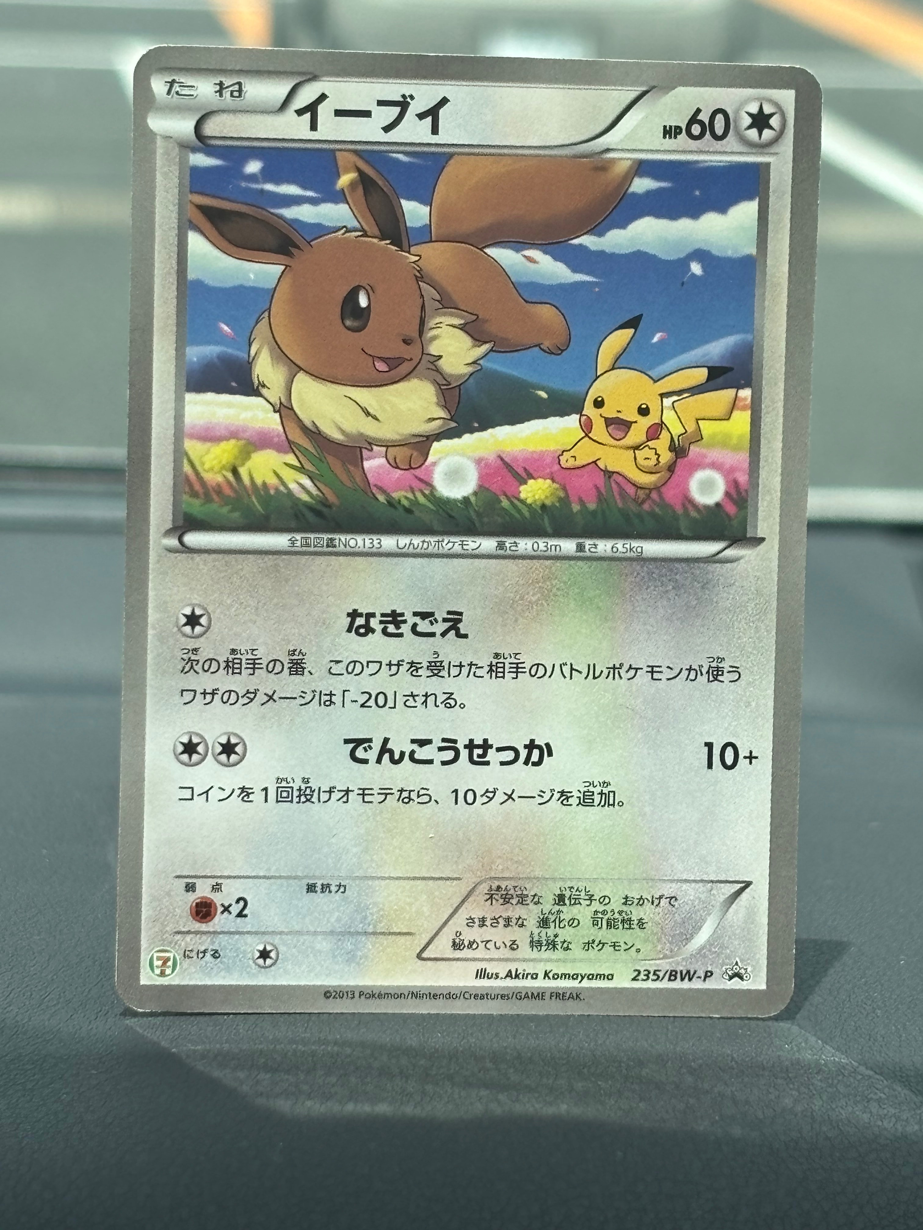 ボスごっこピカチュウ マグマ団: プロモ[SM-P 193](プロモーション
