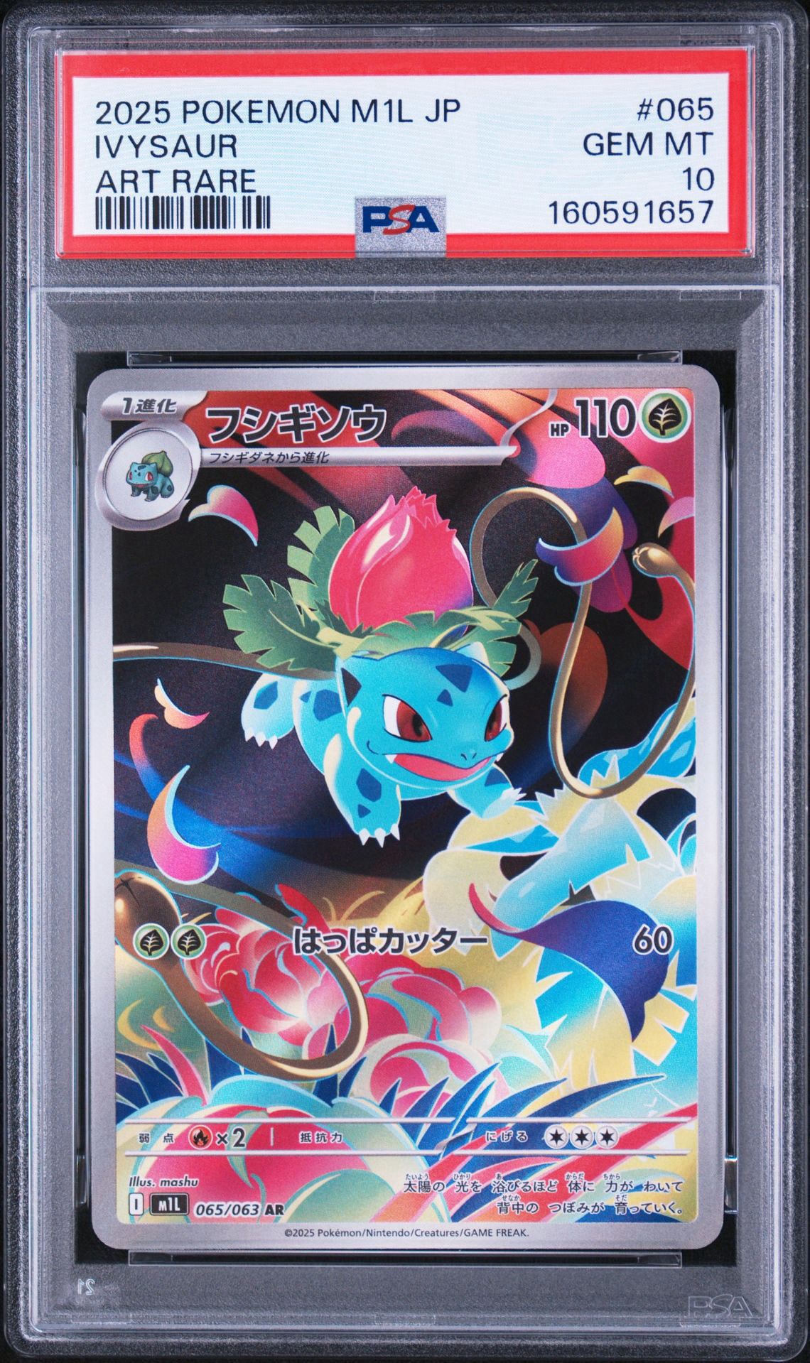 PSA10】フシギソウ AR [M1L 065/063](拡張パック「メガブレイブ」) 1枚