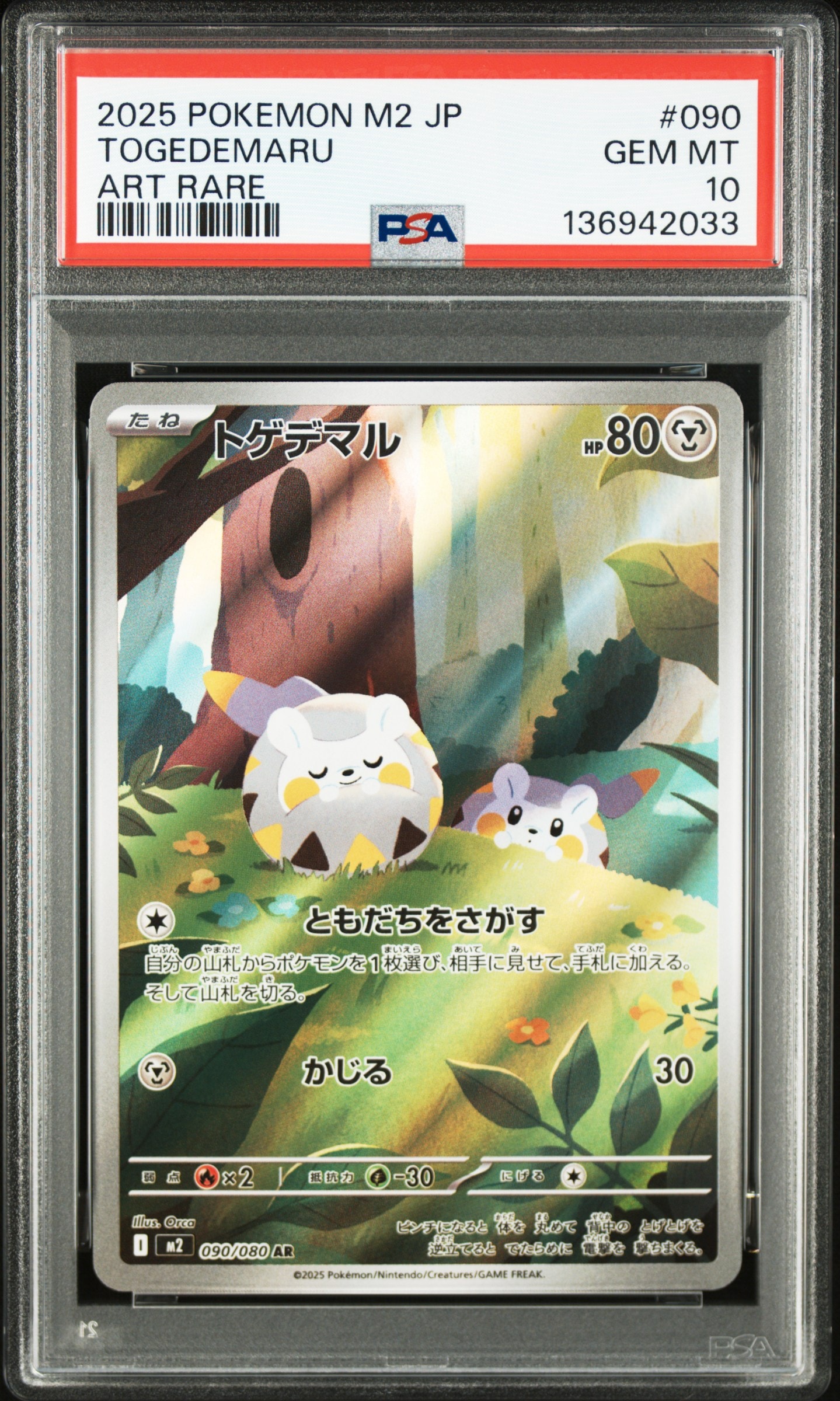 トゲデマル AR [M2 090/080](拡張パック「インフェルノX」)