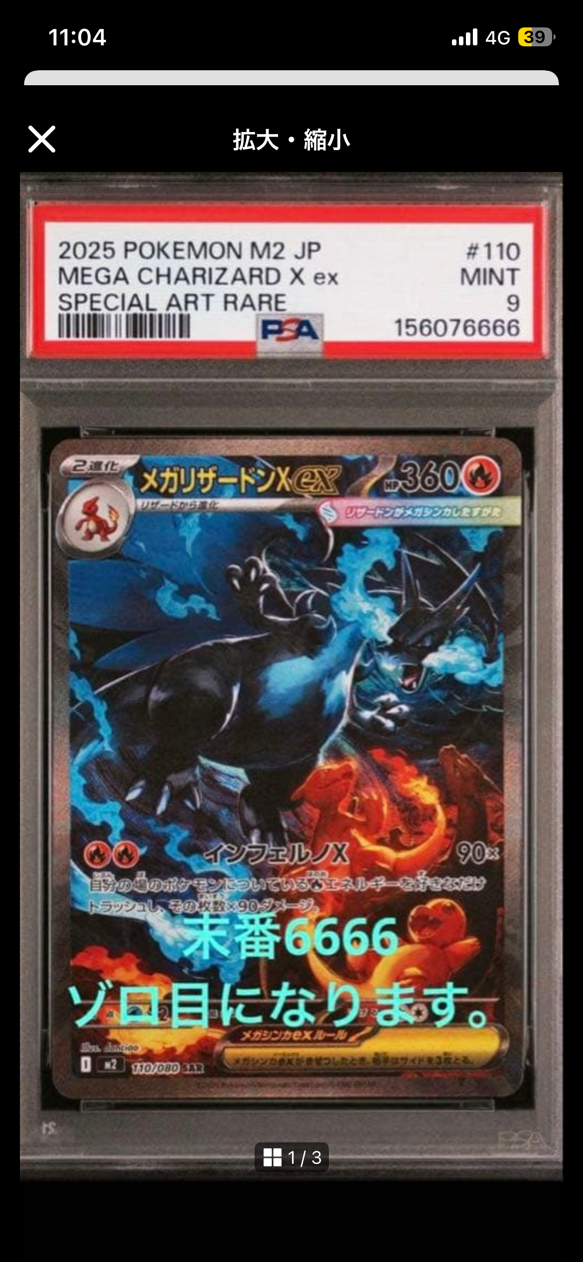 メガリザードンXex SAR [M2 110/080](拡張パック「インフェルノX」)の
