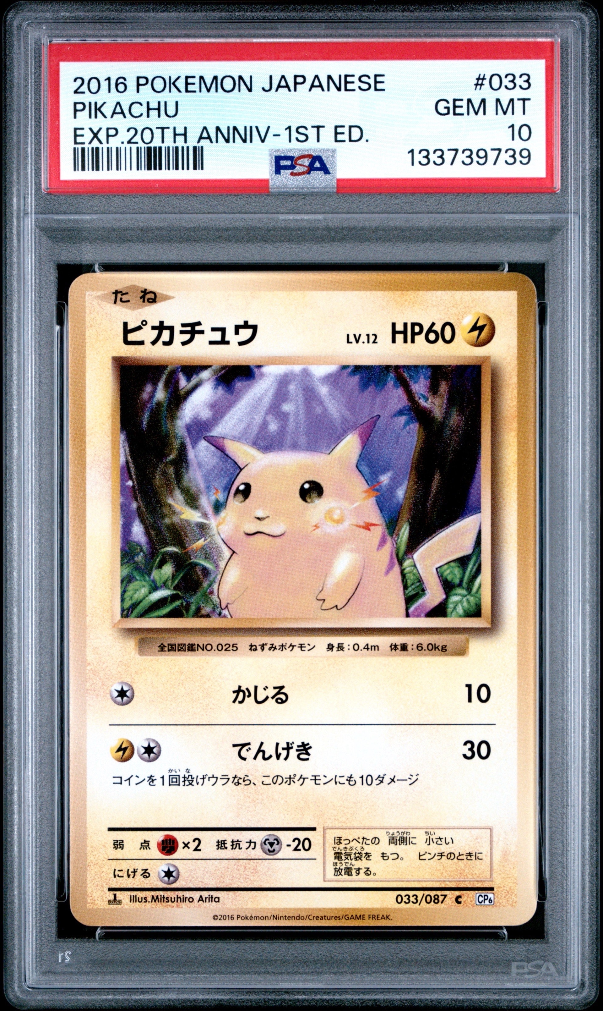 ピカチュウ C :1ED [CP6 033/087](コンセプトパック「ポケットモンスターカードゲーム 拡張パック 20th Anniversary」)