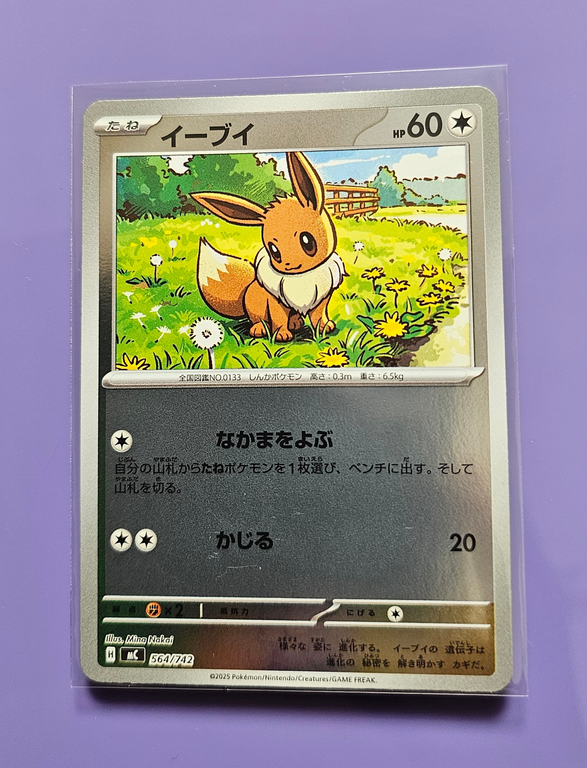 イーブイ :ミラー [MC 564/742](スタートデッキ100「バトル