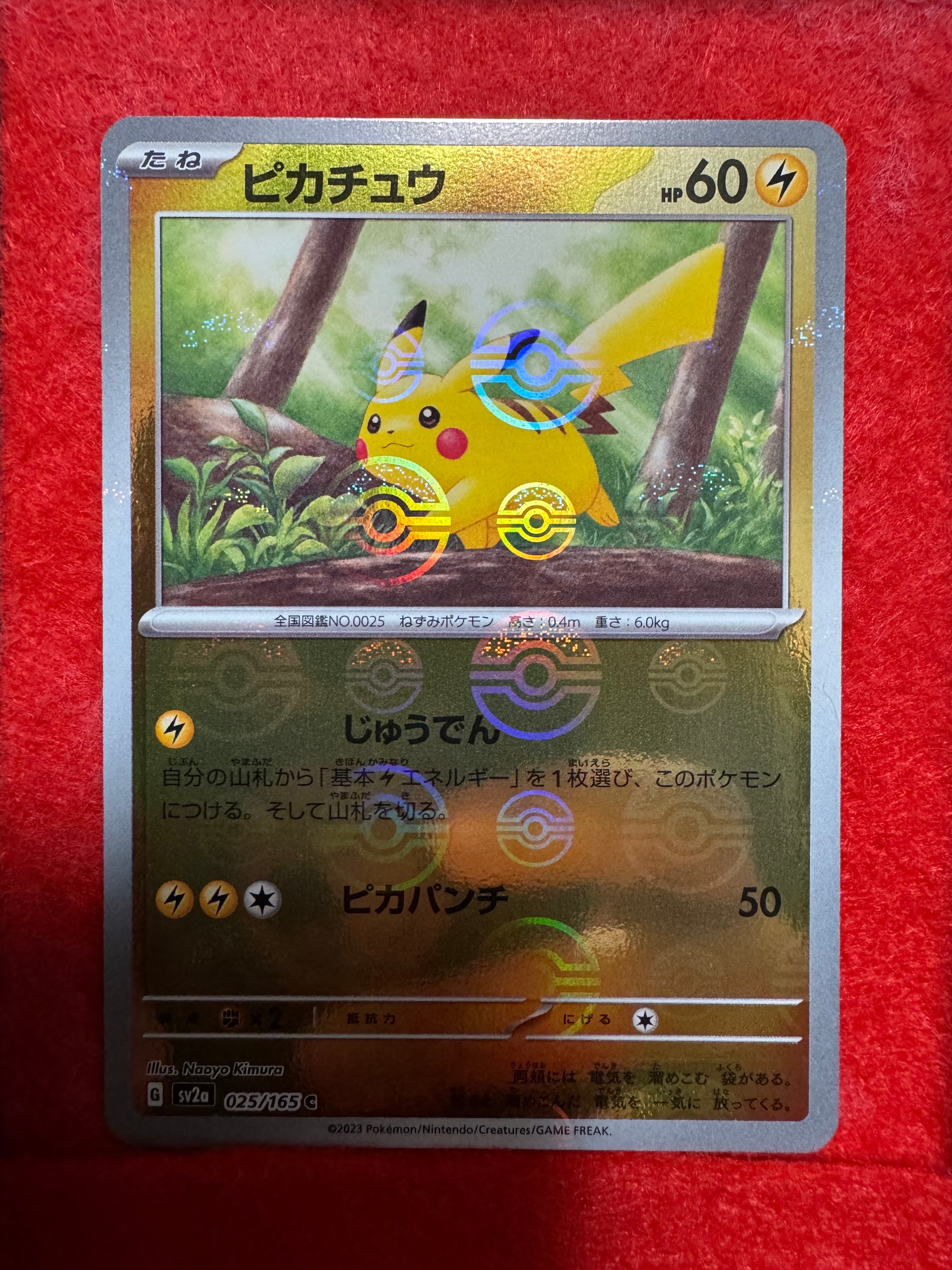 PSA10】ピカチュウ C[SV2a 025/165](強化拡張パック「ポケモンカード