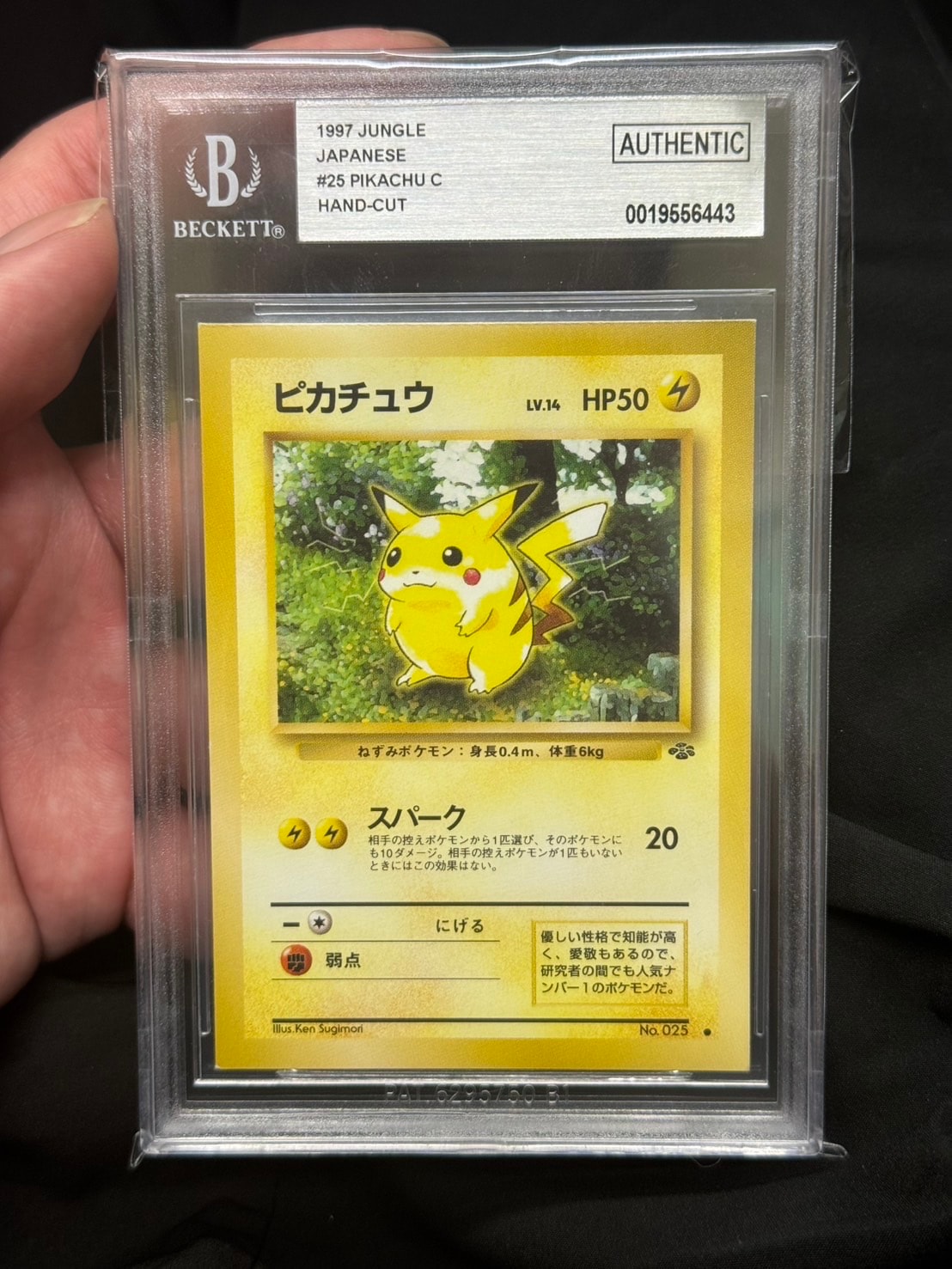 PSA10】バティックシャツを着たピカチュウ (フラワーピカチュウ柄) P