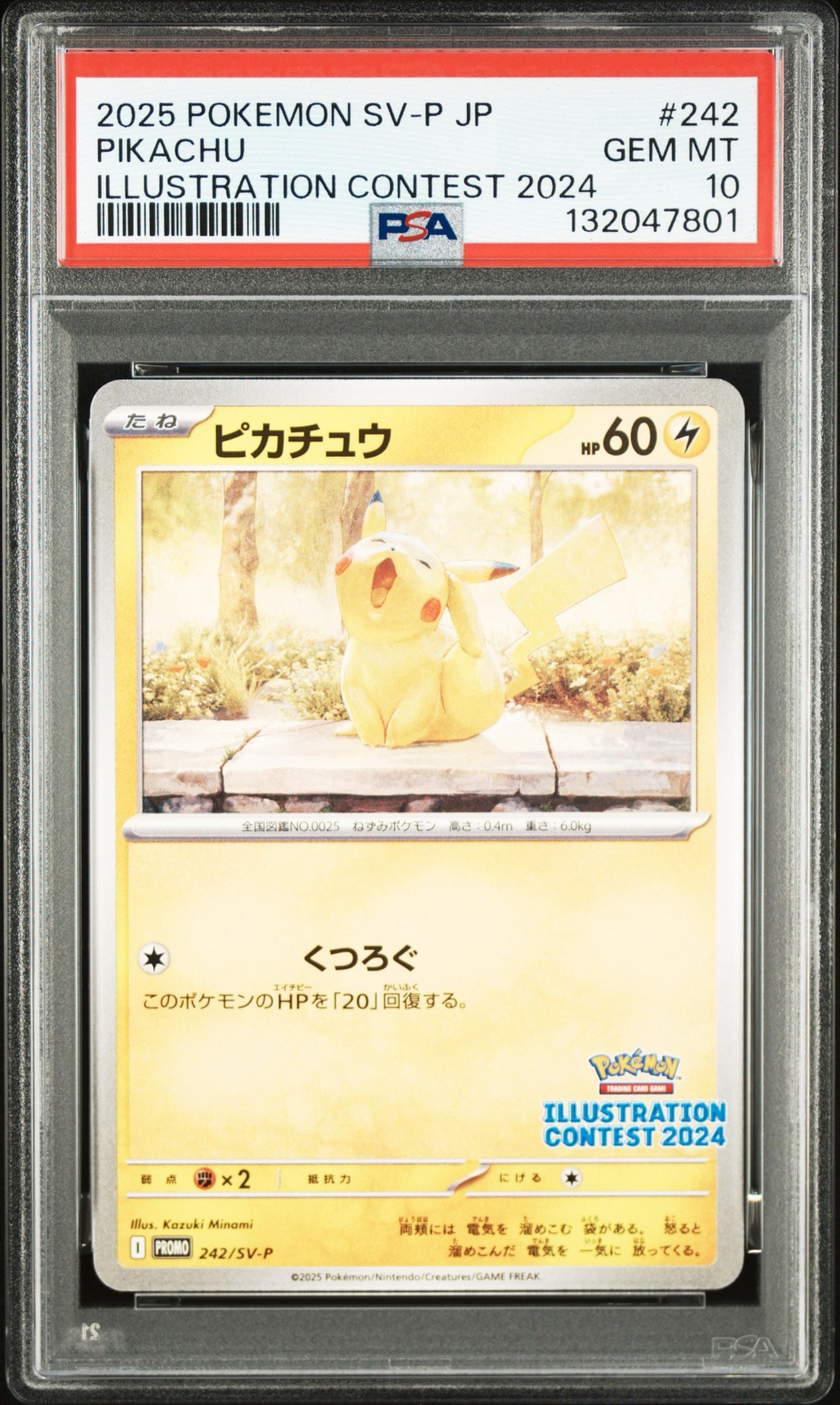 ピカチュウ [SV-P 242](プロモカードパック「イラストレーション