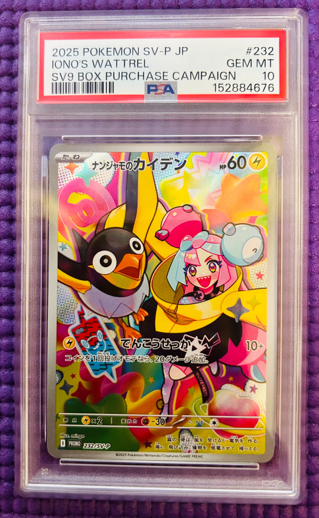 ナンジャモのカイデン P [SV-P 232](プロモーションカード「拡張パック