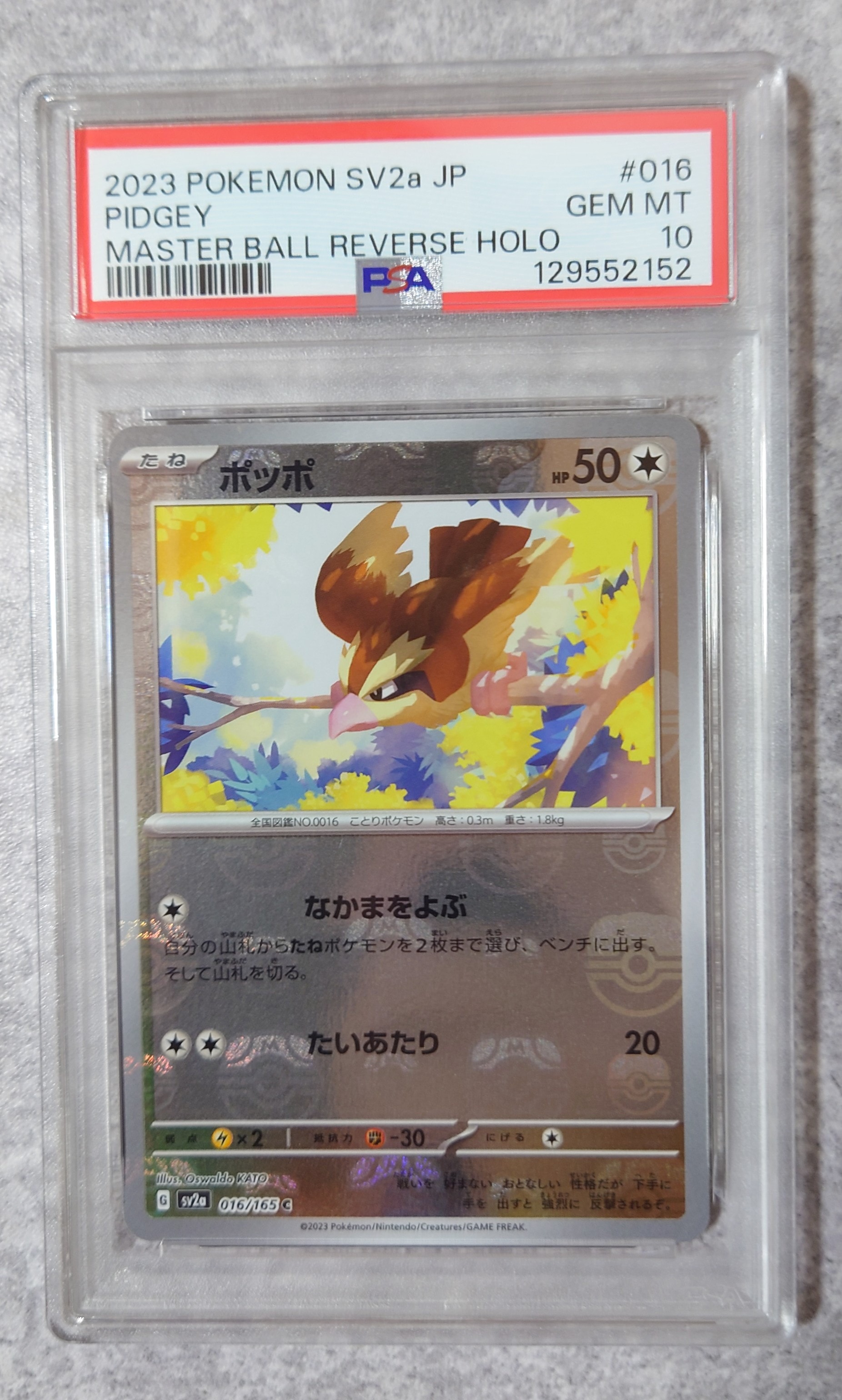 ポッポ C: マスターボールミラー[SV2a 016/165](強化拡張パック「ポケモンカード151」)