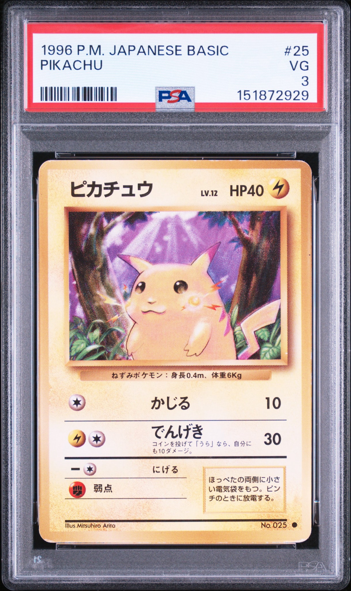 ピカチュウ ○ : 旧裏 [PMCG1-2](拡張パック「ポケットモンスター