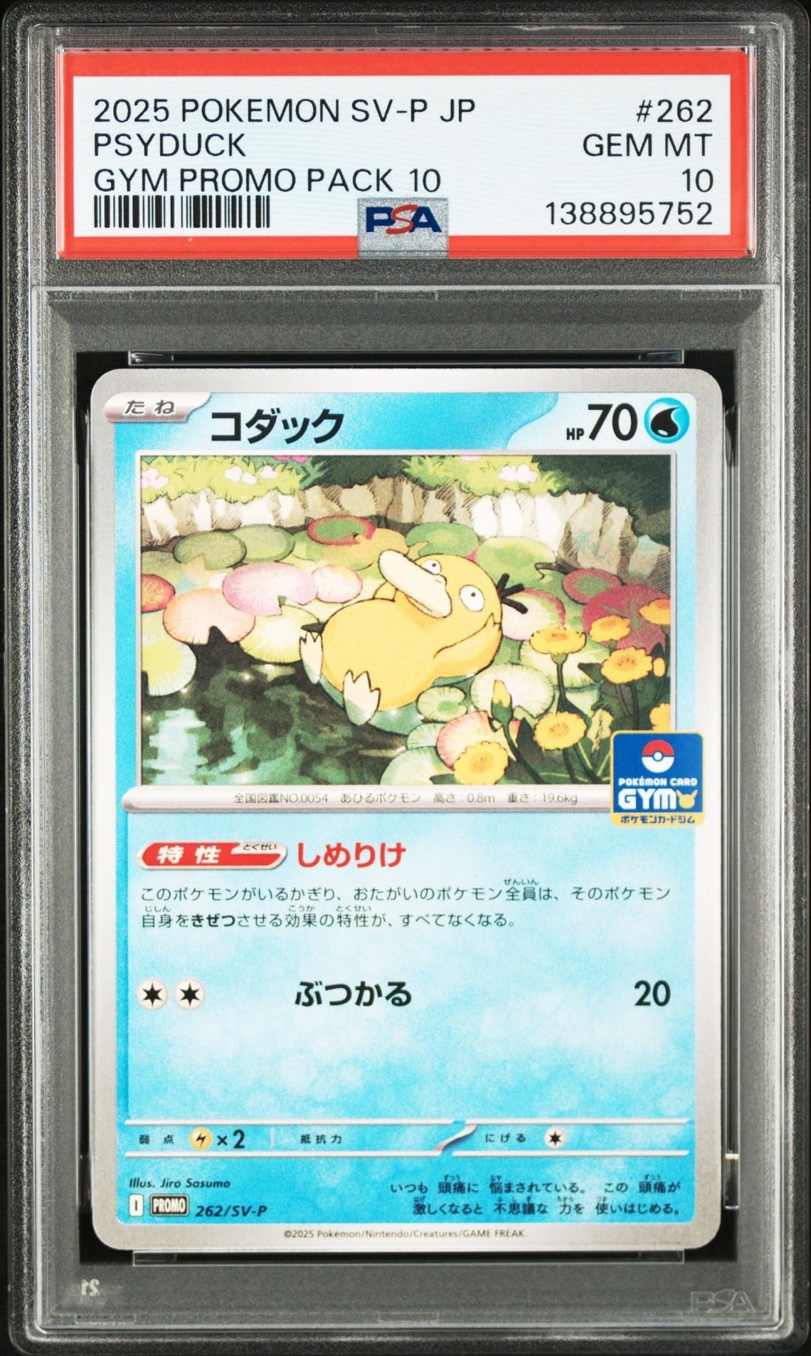 コダック P [SV-P 262](プロモカードパック「第10弾」)
