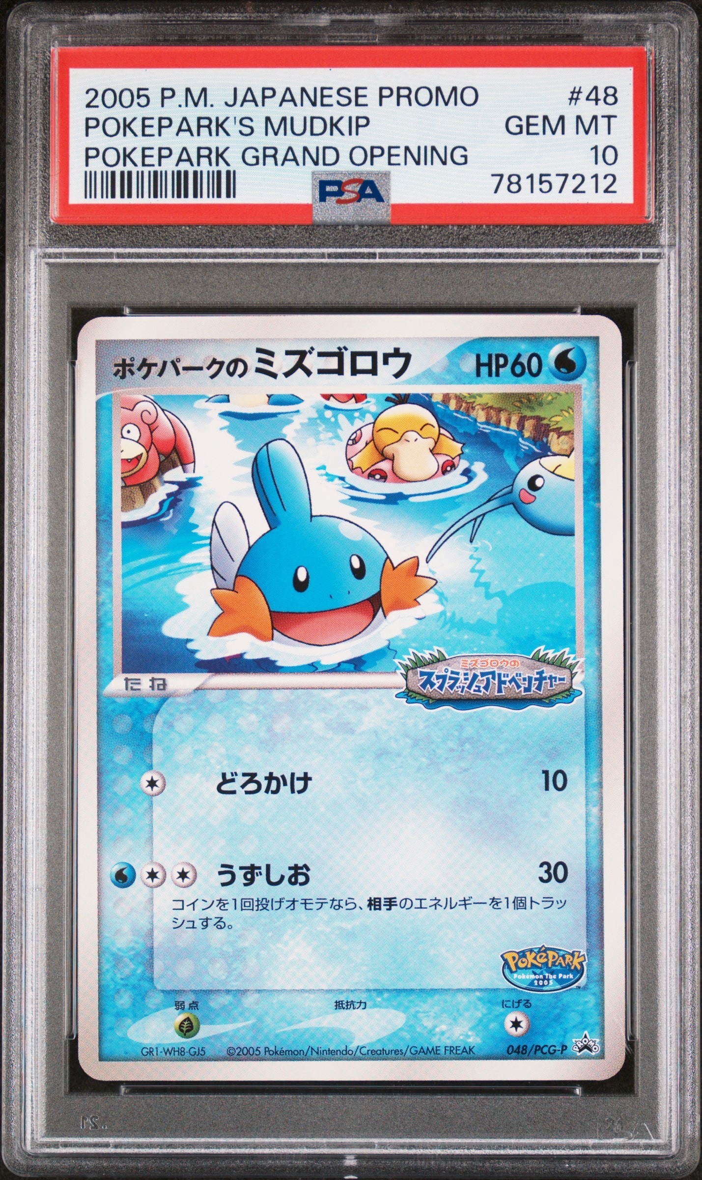 ポケパークのミズゴロウ P [PCG-P 048](プロモーションカード
