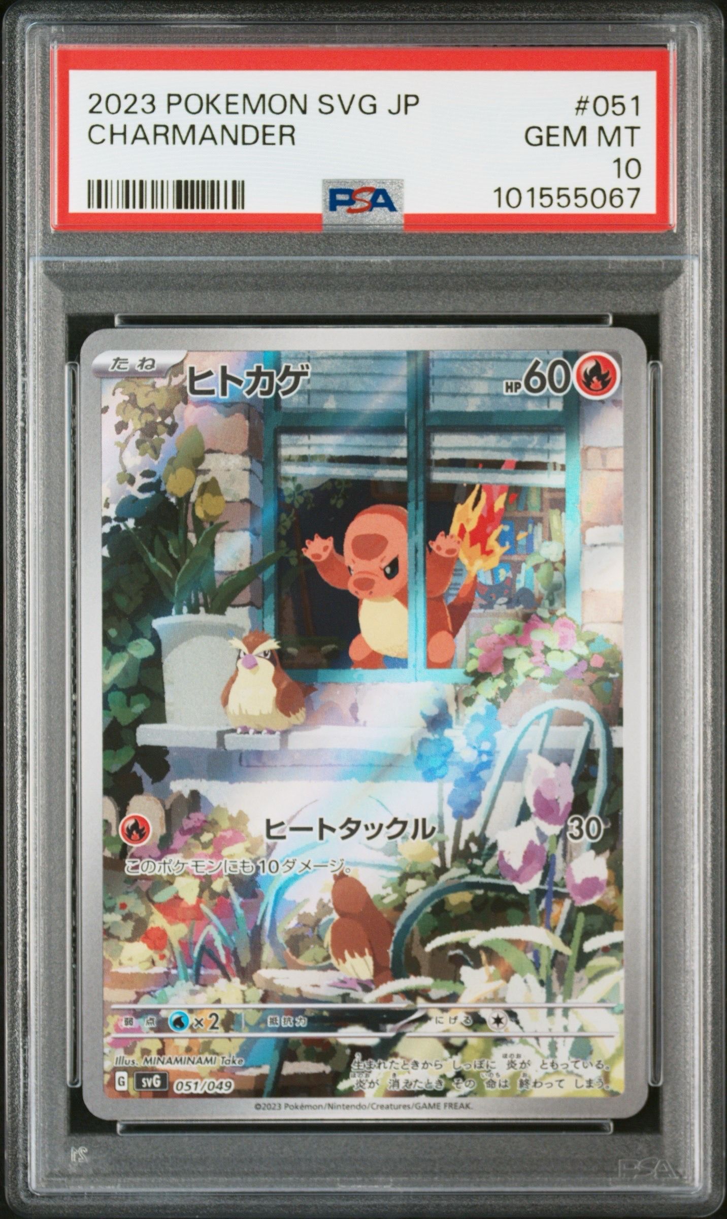 ヒトカゲ :フルイラスト [SVG 051/049](スペシャルデッキセットex「フシギバナ・リザードン・カメックス」)