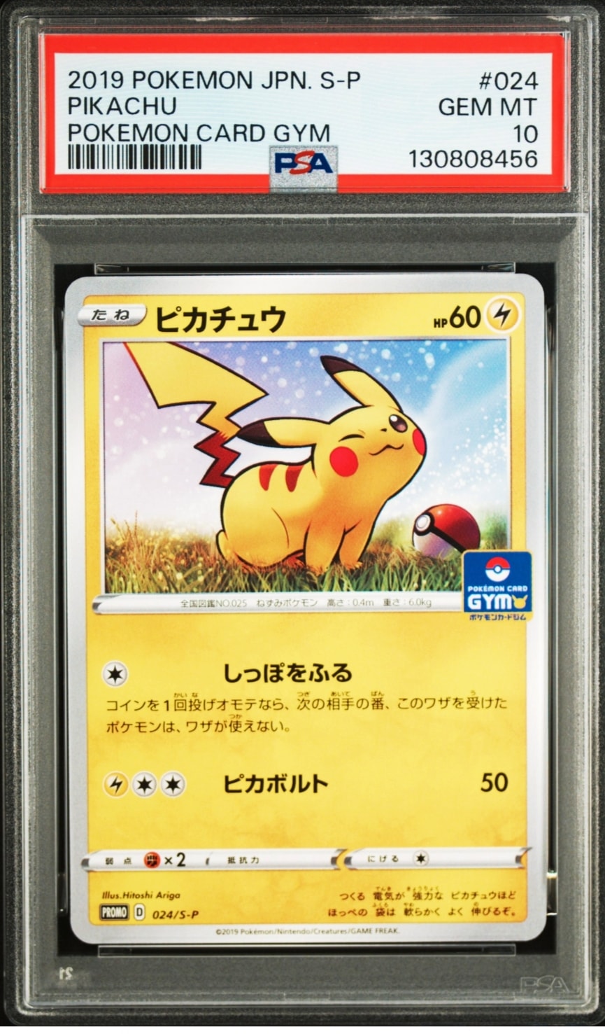 ピカチュウ: プロモ P [S-P 024](ポケモンカードゲーム ソード&シールド 「プロモカードパック 第1弾」)