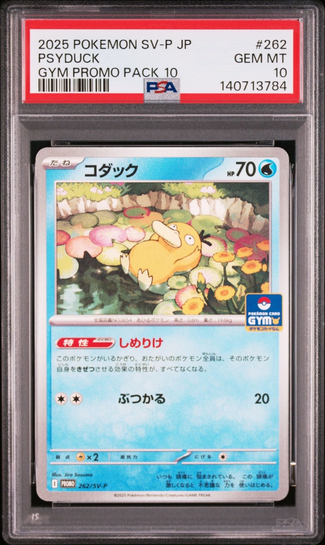 コダック P [SV-P 262](プロモカードパック「第10弾」)