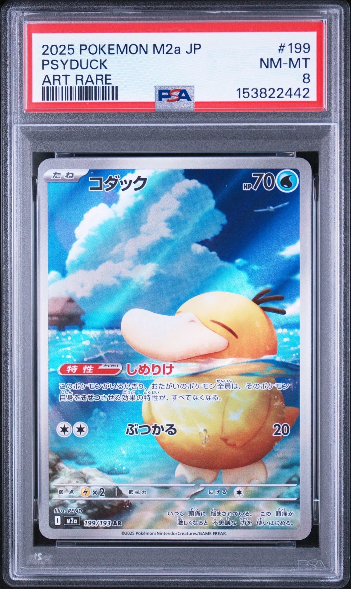 コダック AR [M2a 199/193](ハイクラスパック「MEGAドリームex」)の
