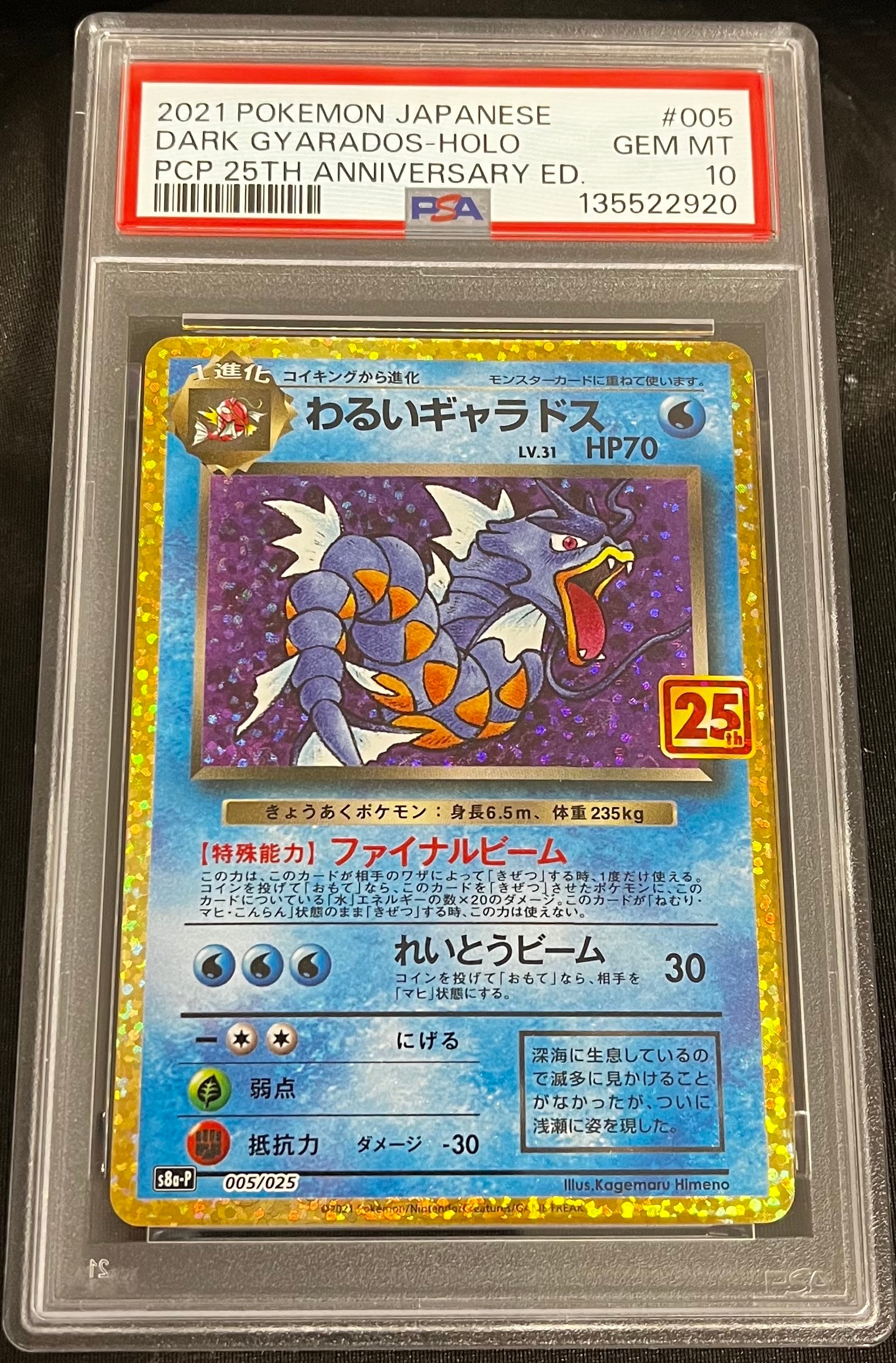 わるいギャラドス: プロモ[S8a-P 005/025](プロモカードパック 25th ANNIVERSARY edition)