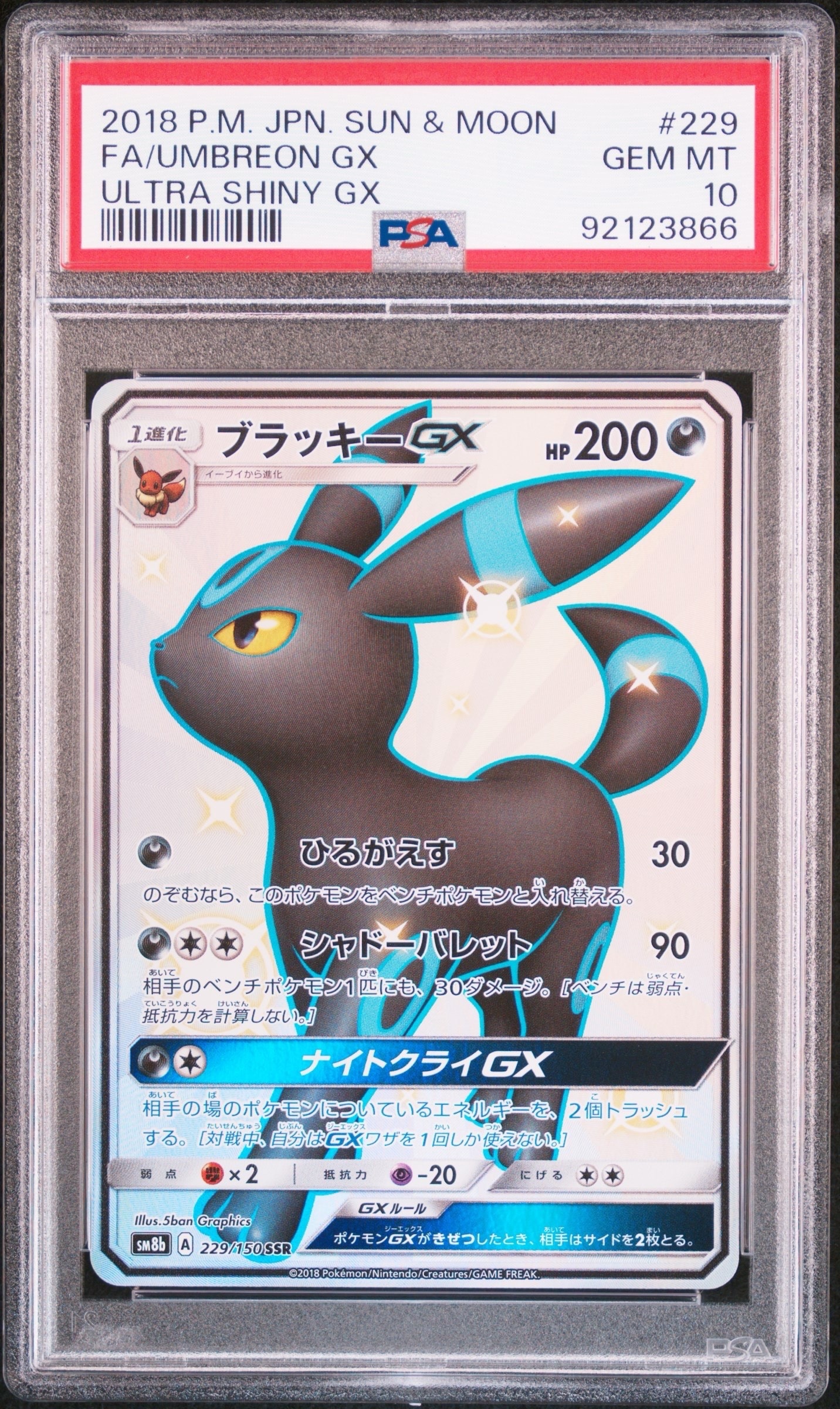 ポケパークのピカチュウ [PCG 004/009](ポケパークプレミアムファイル
