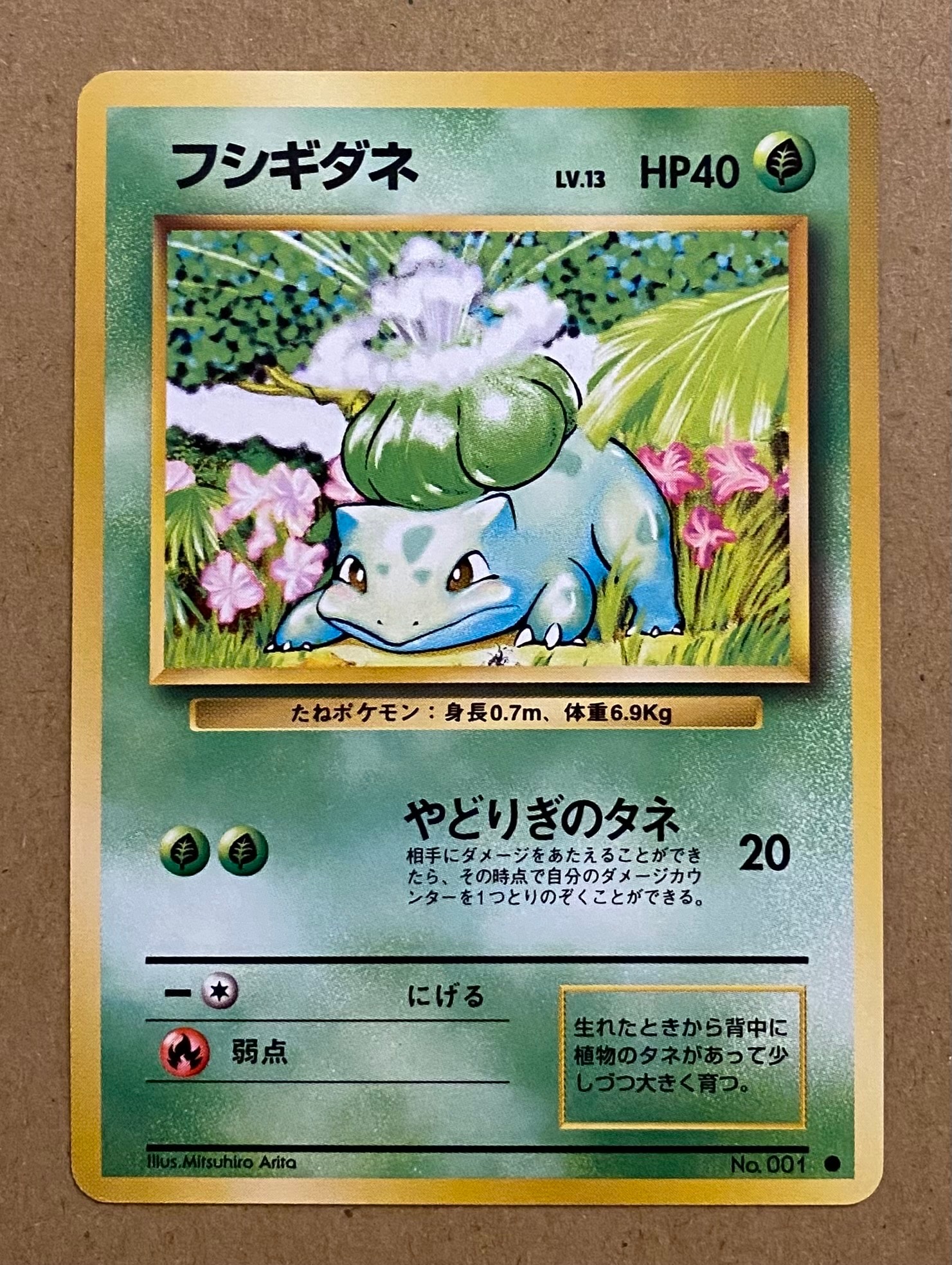 フシギダネ ● : 旧裏 [PMCG1-2](拡張パック「ポケットモンスター カードゲーム」再販)