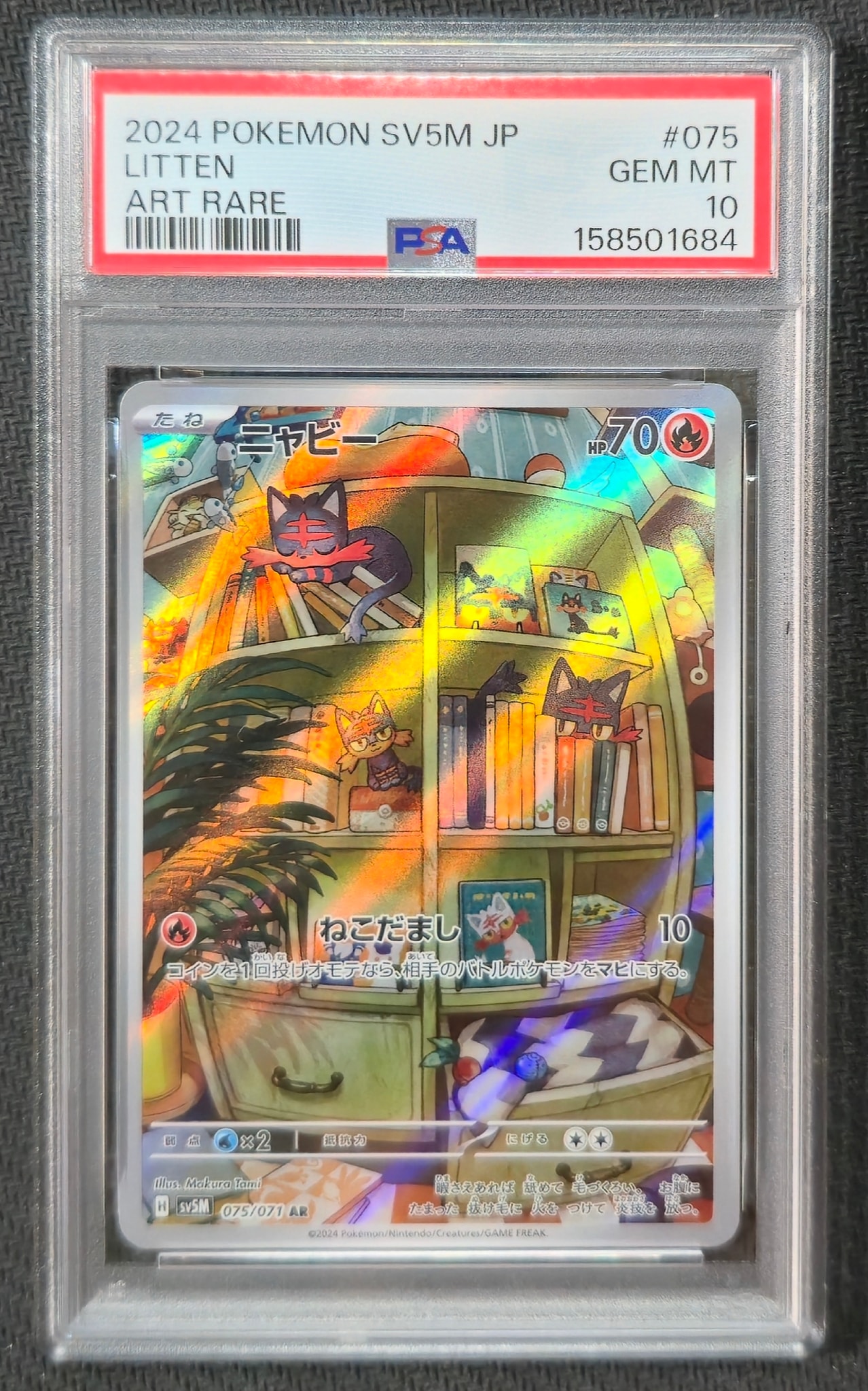 Litten