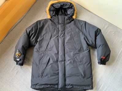 Supreme GORE-TEX 700-Fill Down Parka "Black"