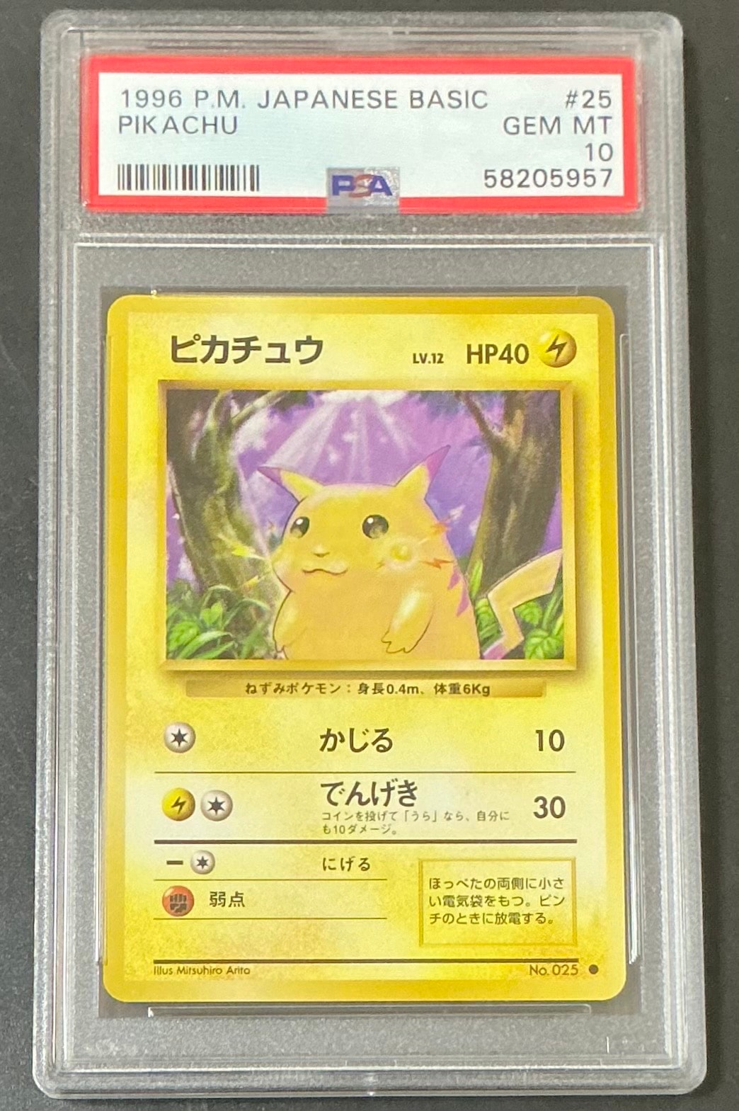 ピカチュウ ● : 旧裏 [PMCG1-2](拡張パック「ポケットモンスター カードゲーム」再販)