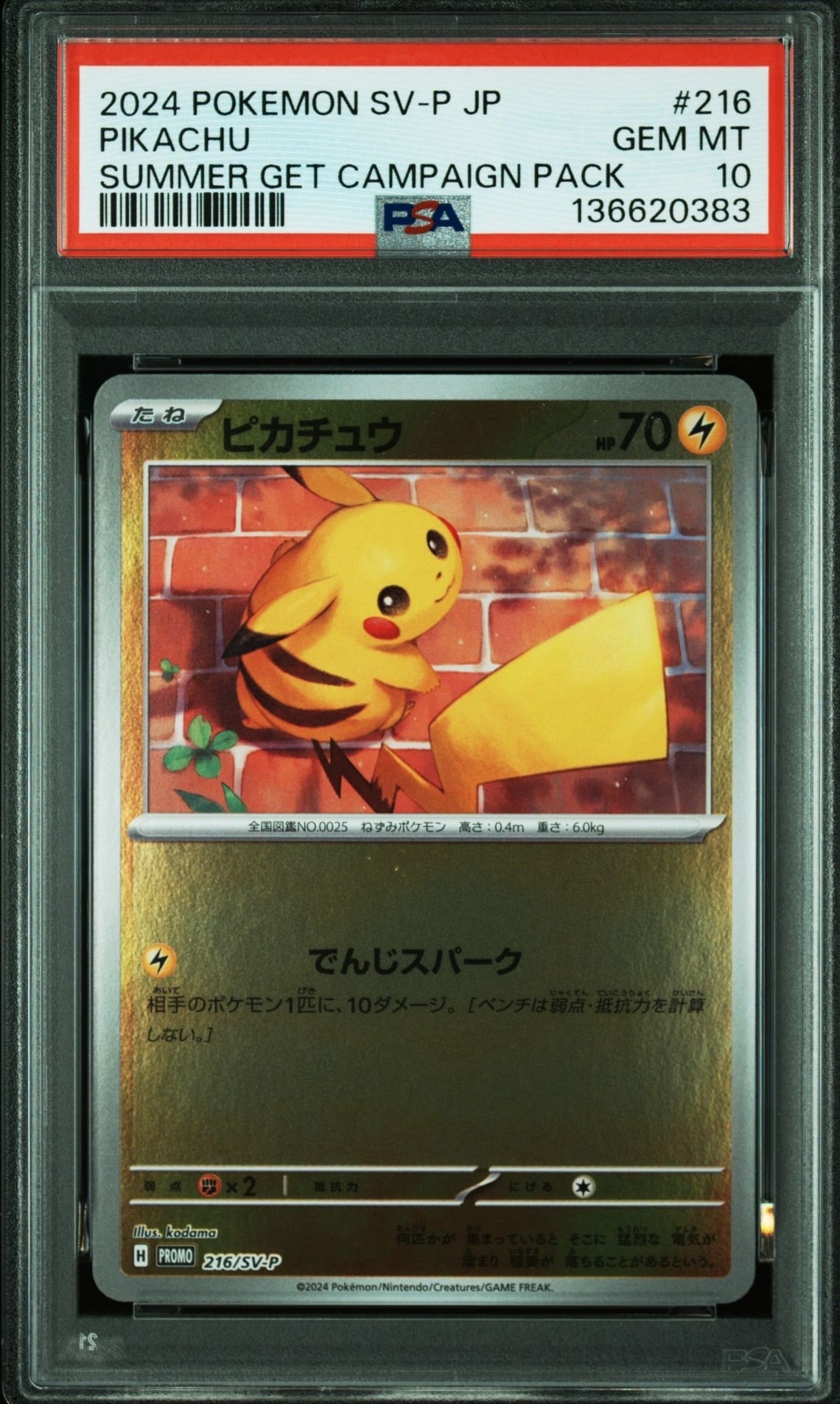 ピカチュウ P [SV-P 216](プロモカードパック「ポケカの夏がキタ