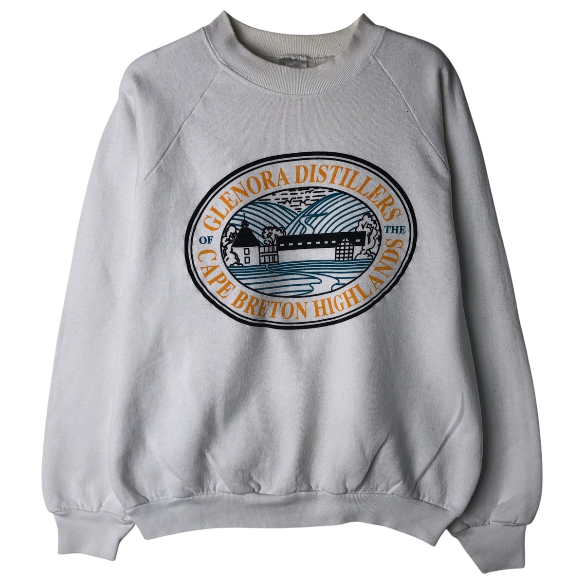 古着 90年代 フルーツオブザルーム FRUIT OF THE LOOM プリントスウェットシャツ トレーナー カナダ製 メンズL相当 ヴィンテージ/eaa606521