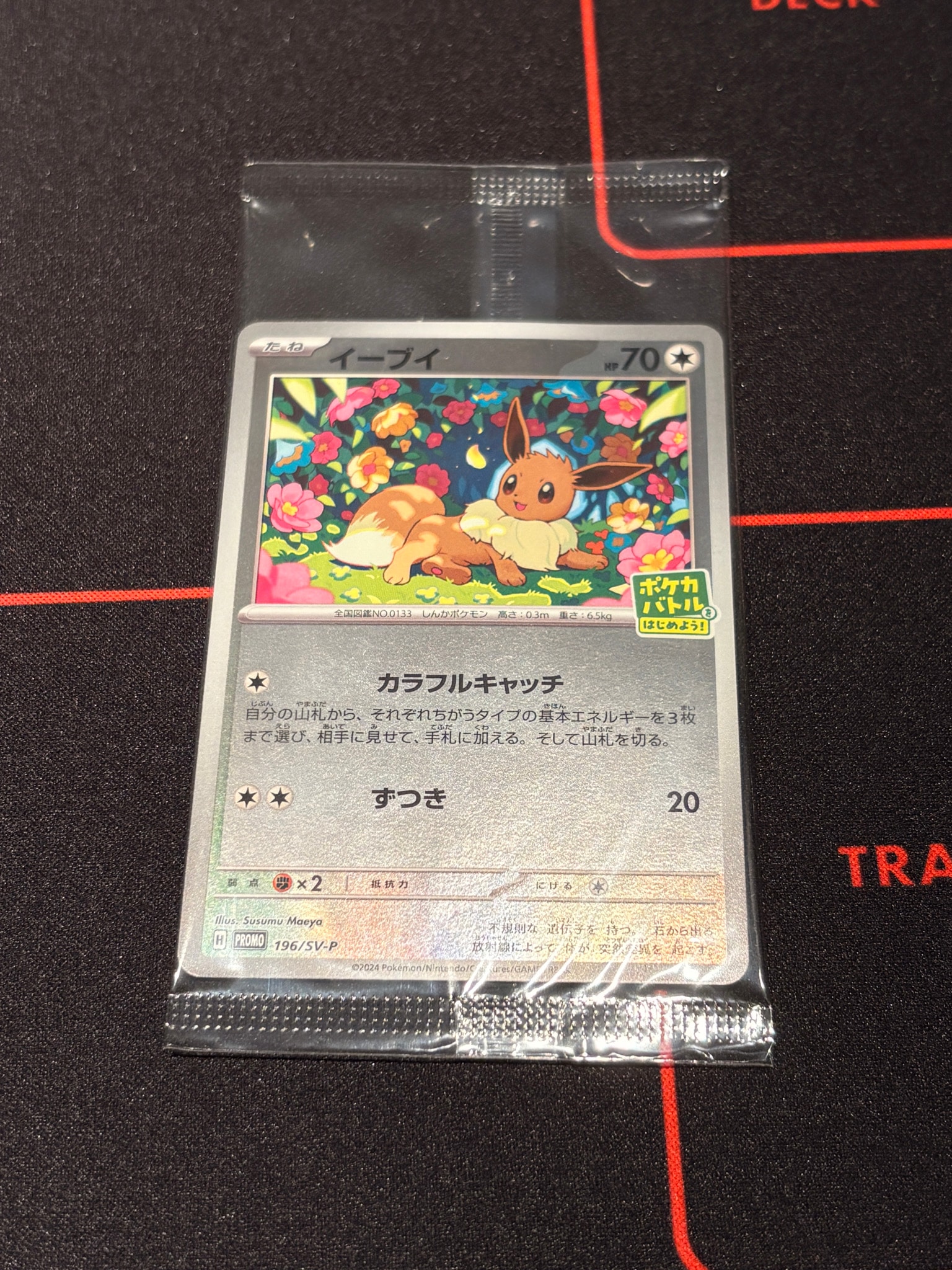イーブイ P [SV-P-SM 196](プロモカードパック「ポケカバトルをはじめ