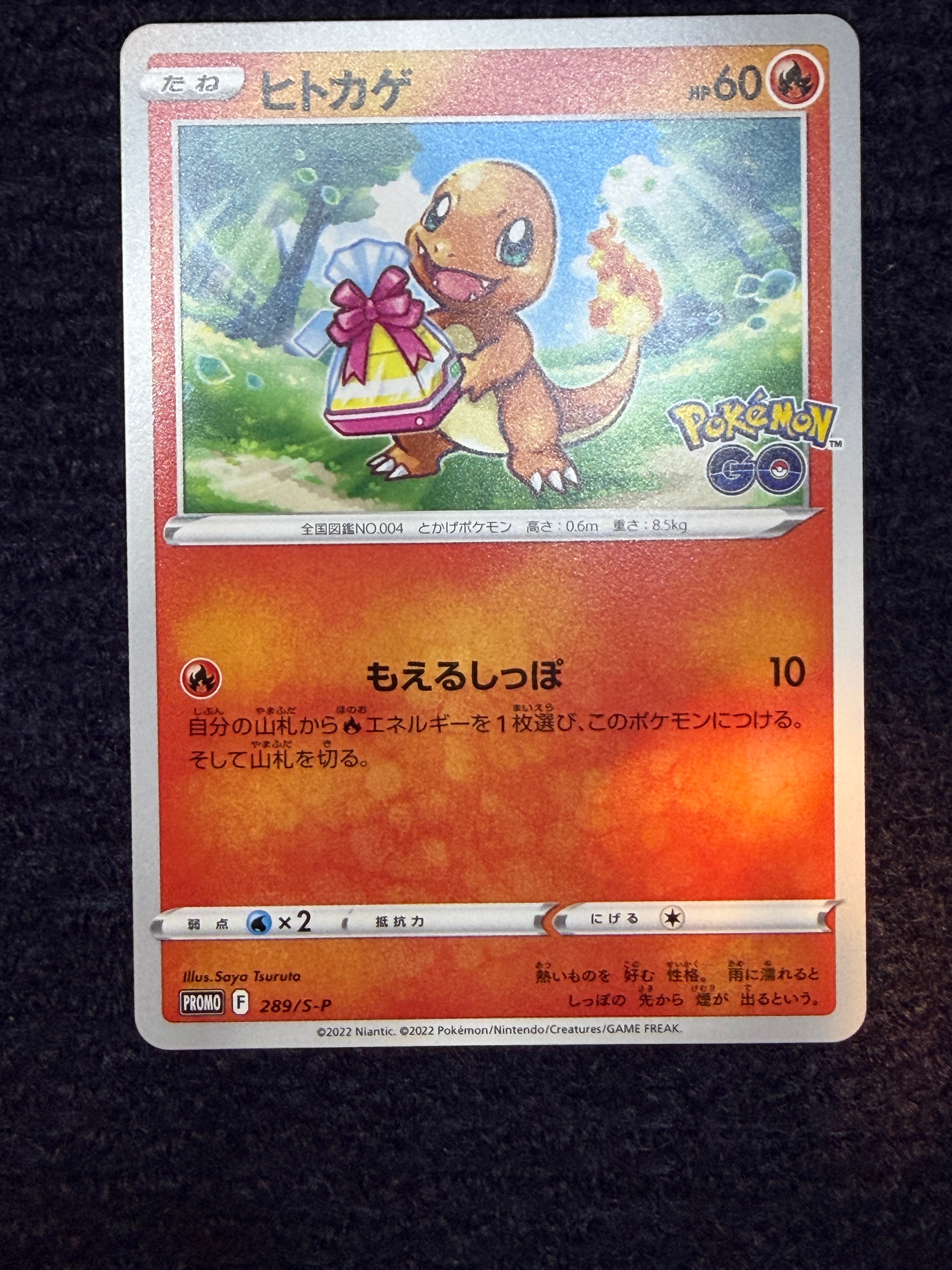 PSA10】ヒトカゲ P [S-P 289](プロモーションカード「ポケモン GO