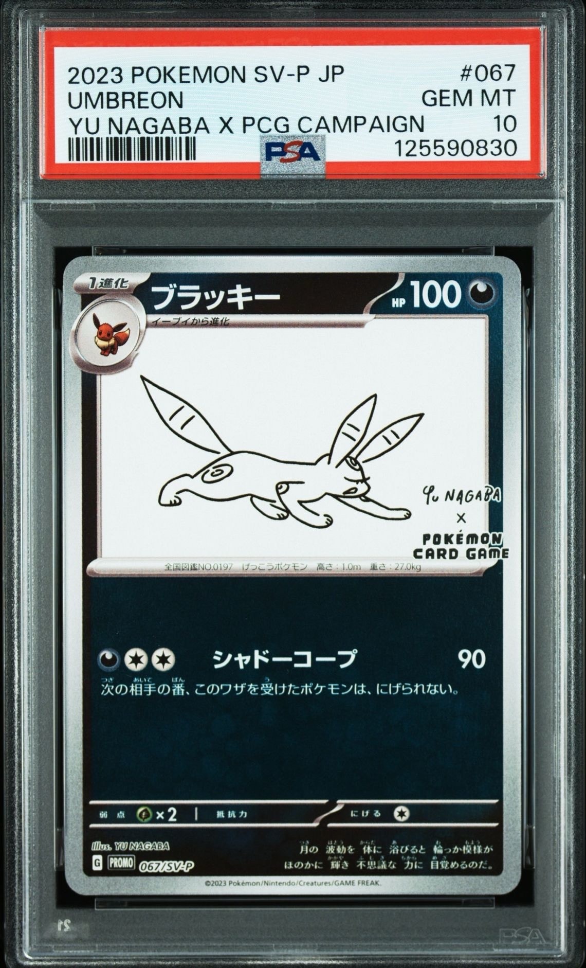 ブラッキー: プロモ (ナガバブラッキー) [SV-P 067](「YU NAGABA×ポケモンカードゲーム」プロモーションカード「SV-P」)
