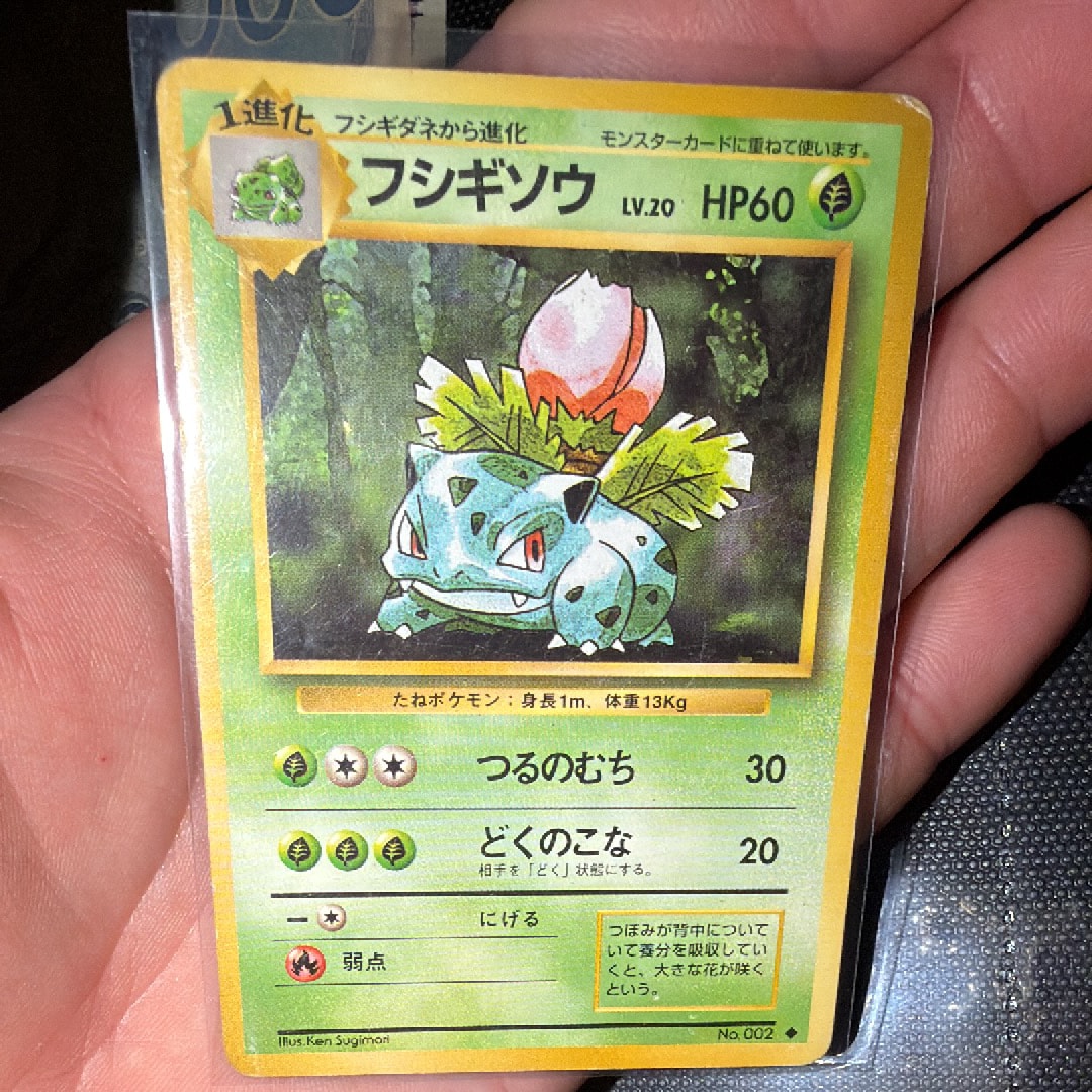 フシギソウ ◆ : 旧裏 [PMCG1-2](拡張パック「ポケットモンスター カードゲーム」再販)