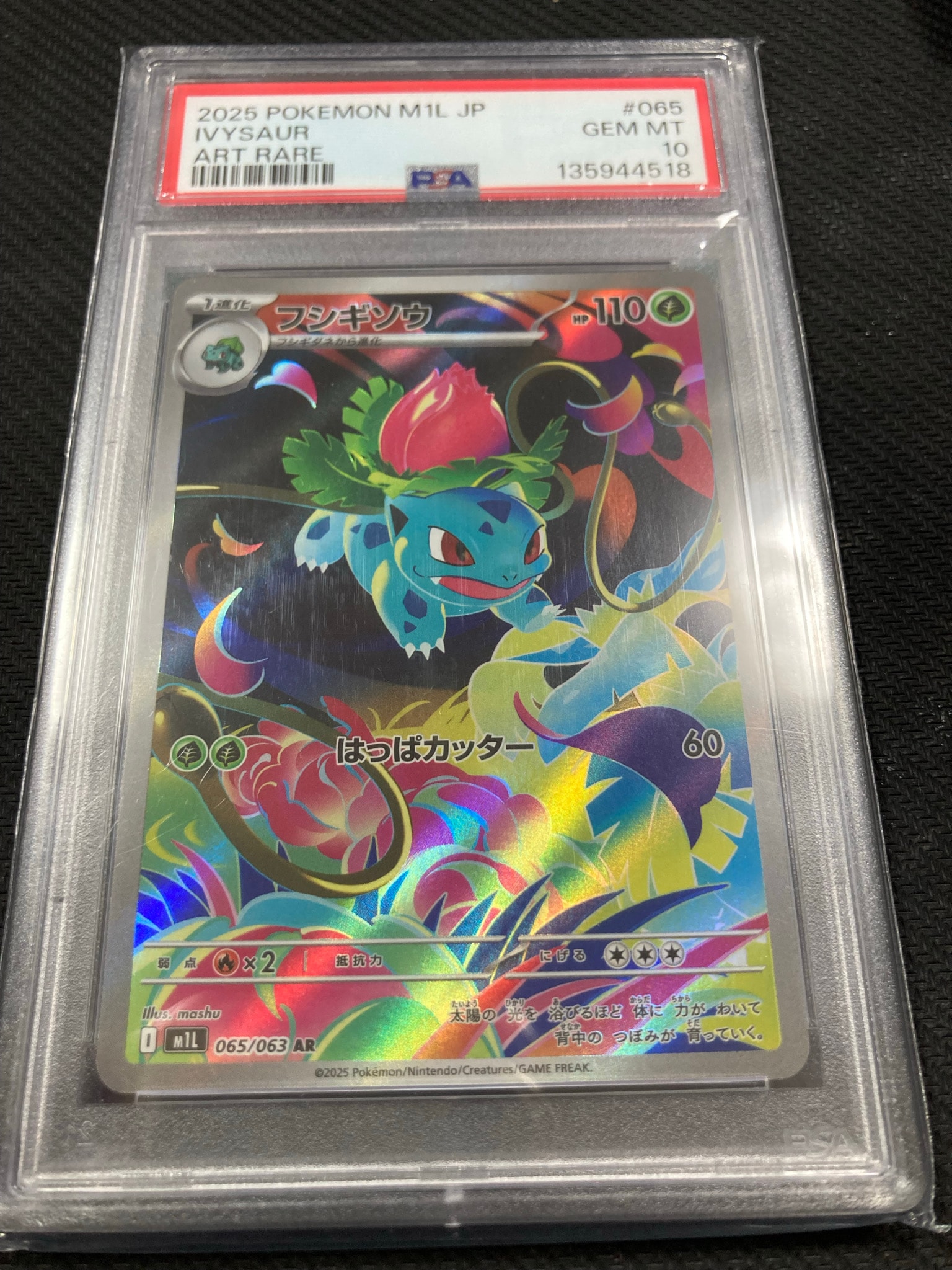 フシギソウ AR [M1L 065/063](拡張パック「メガブレイブ」)通販・買取