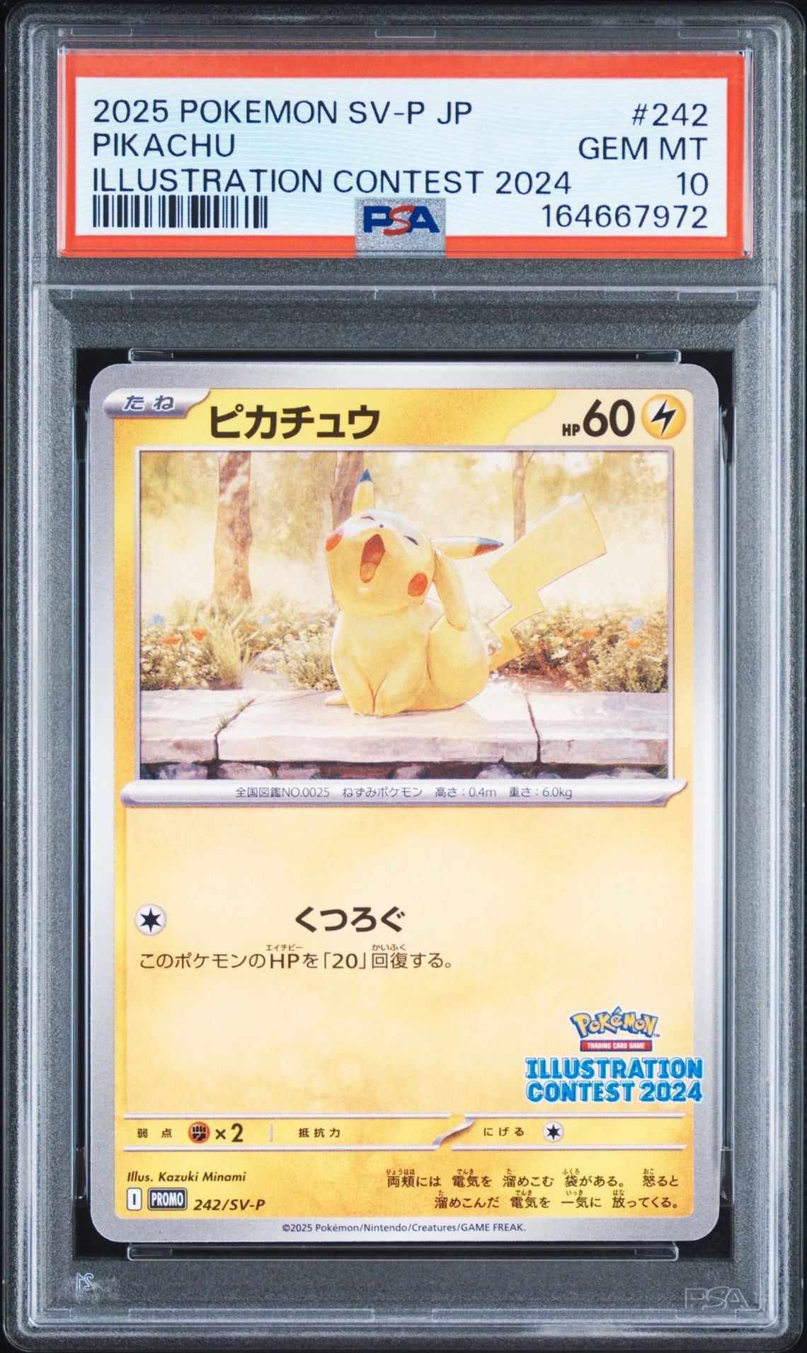 ピカチュウ [SV-P 242](プロモカードパック「イラストレーション
