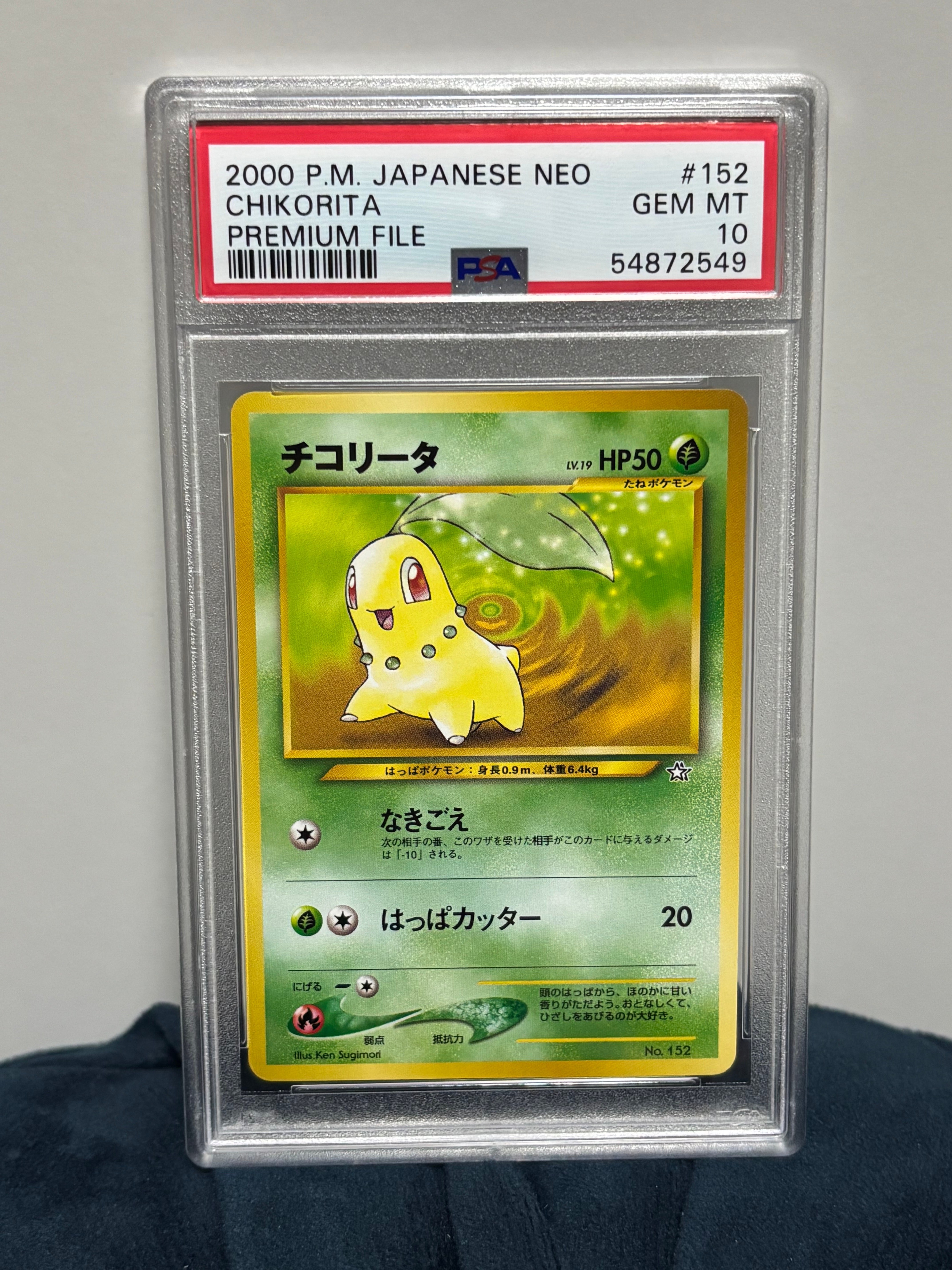 チコリータ : 旧裏 [PRMF-1 No.152](ポケモンカード★neo「プレミアムファイル」)