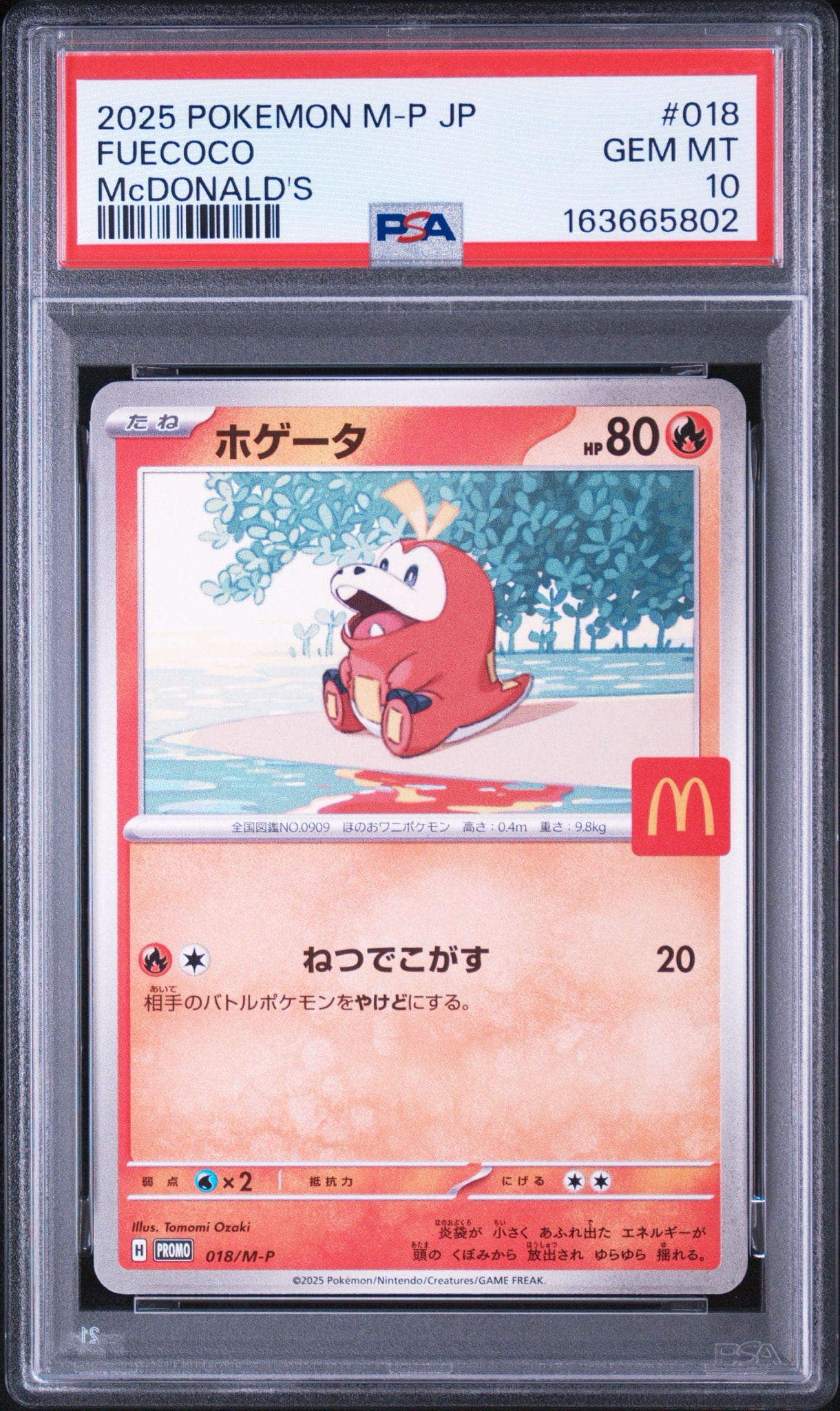 ホゲータ P [M-P 018](プロモカードパック「マクドナルド ハッピーセット2025」)