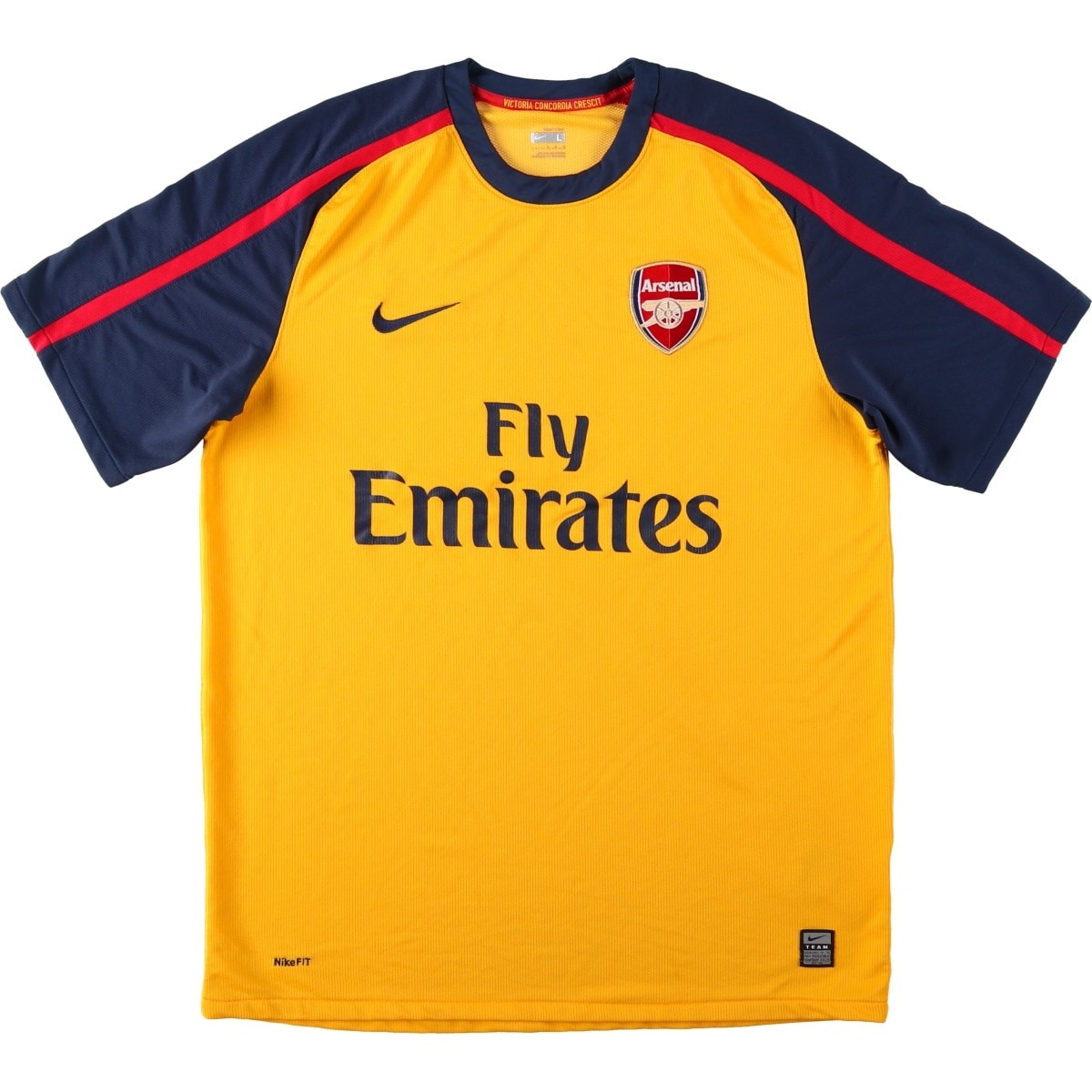 古着 00年代 ナイキ NIKE TEAM PREMIER LEAGE プレミアリーグ ARSENAL FC アーセナル FC サッカーユニフォーム ゲームシャツ メンズL相当/eaa662688