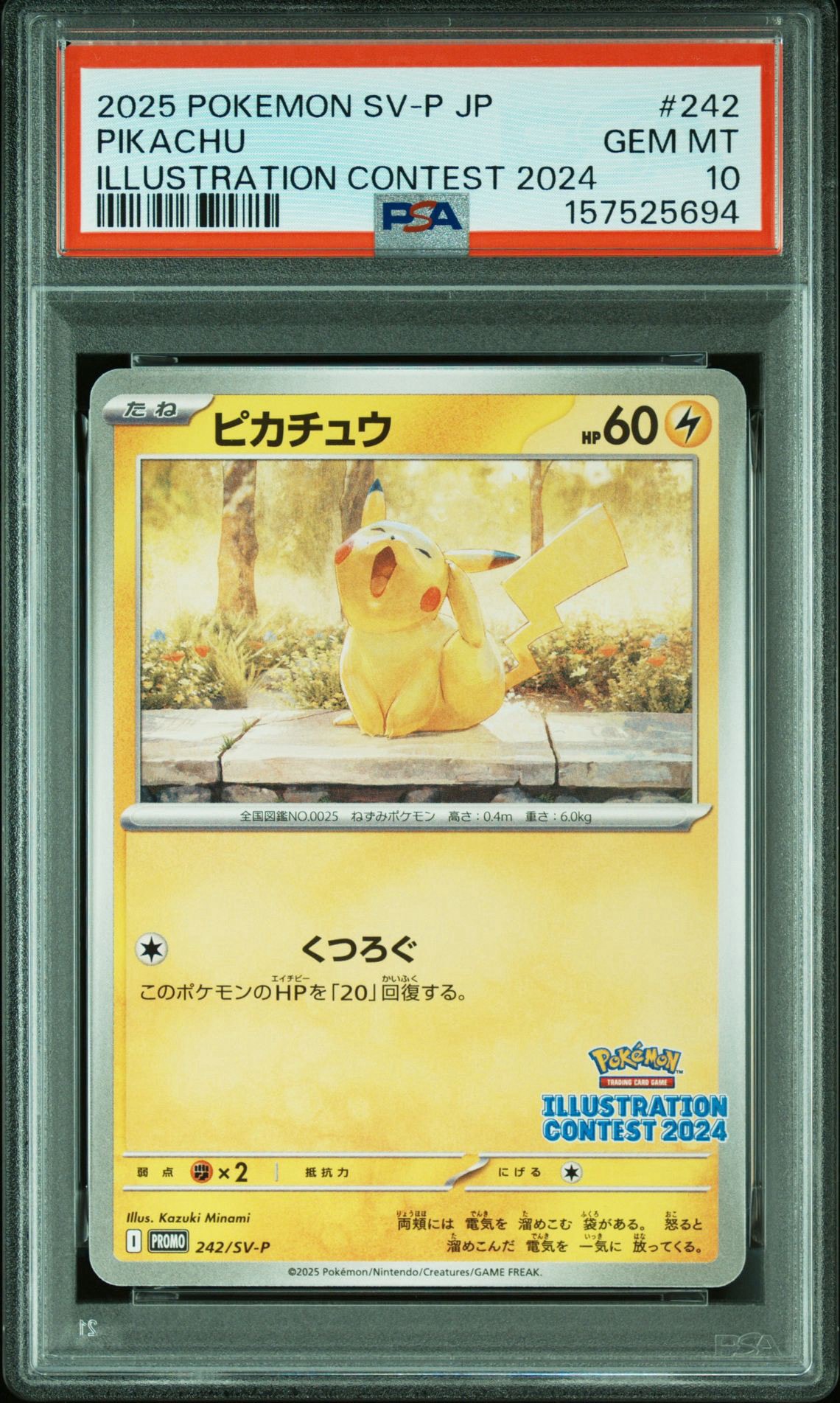 ピカチュウ [SV-P 242](プロモカードパック「イラストレーション