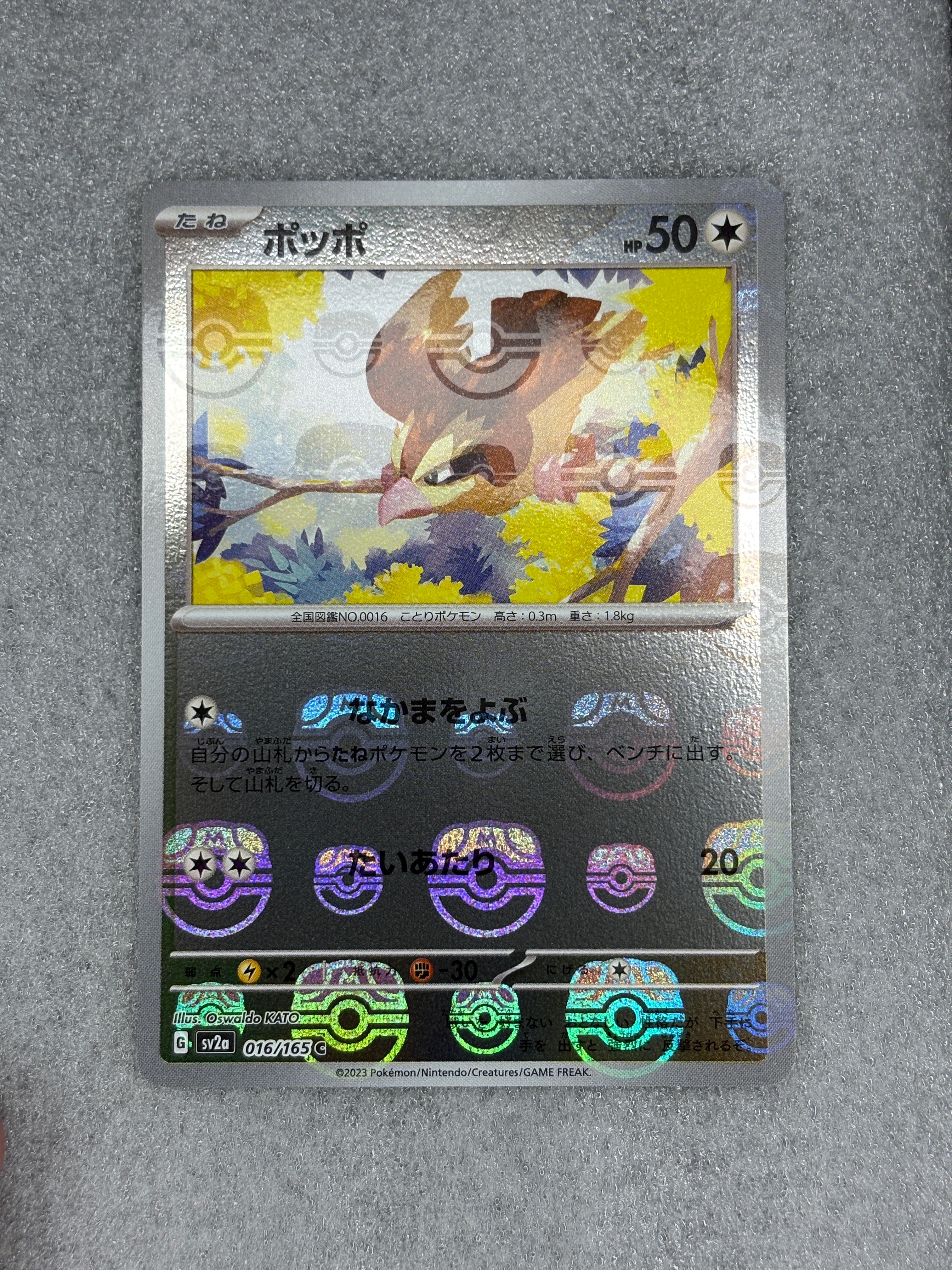 ポッポ C: マスターボールミラー[SV2a 016/165](強化拡張パック